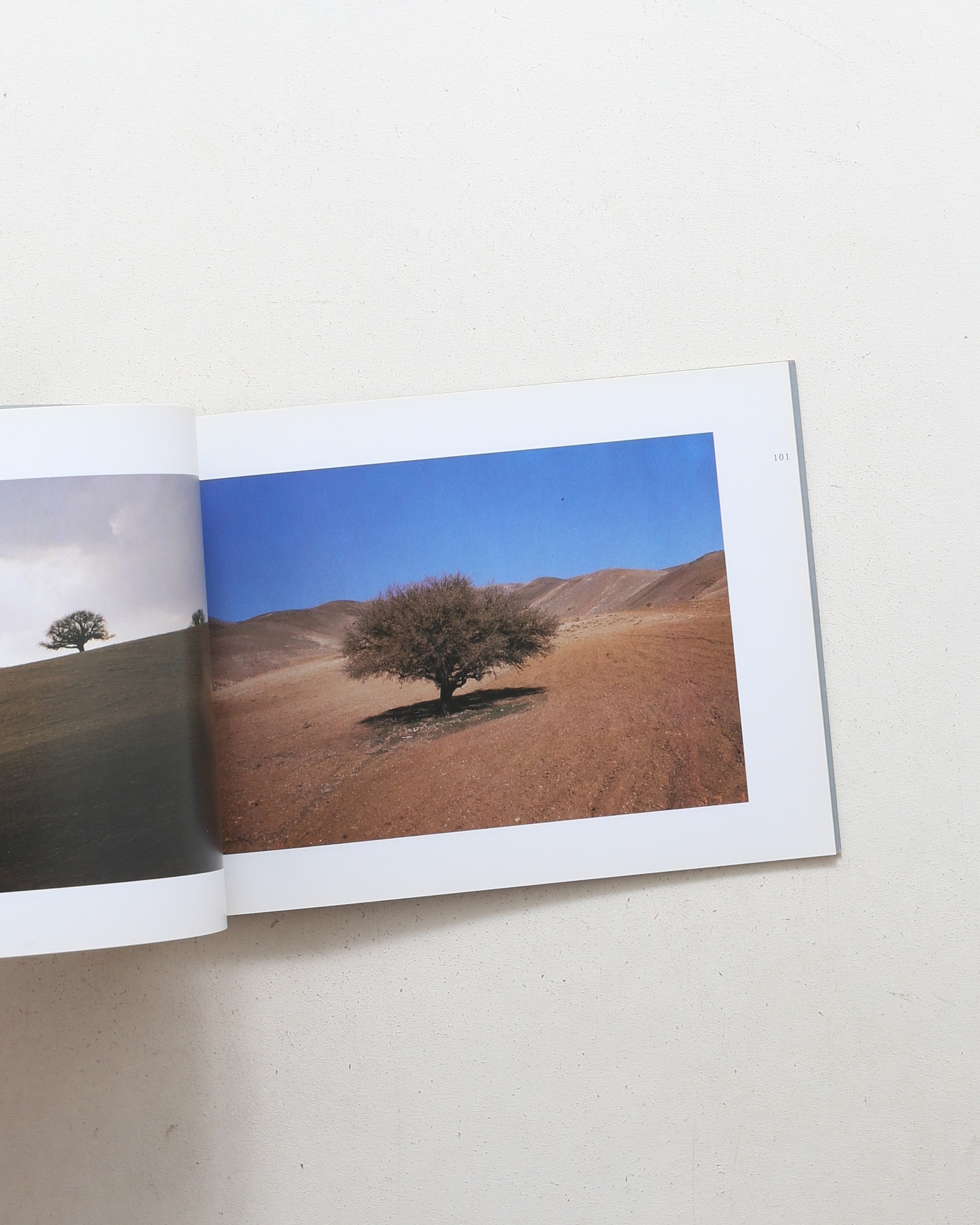 Abbas Kiarostami: Photographs