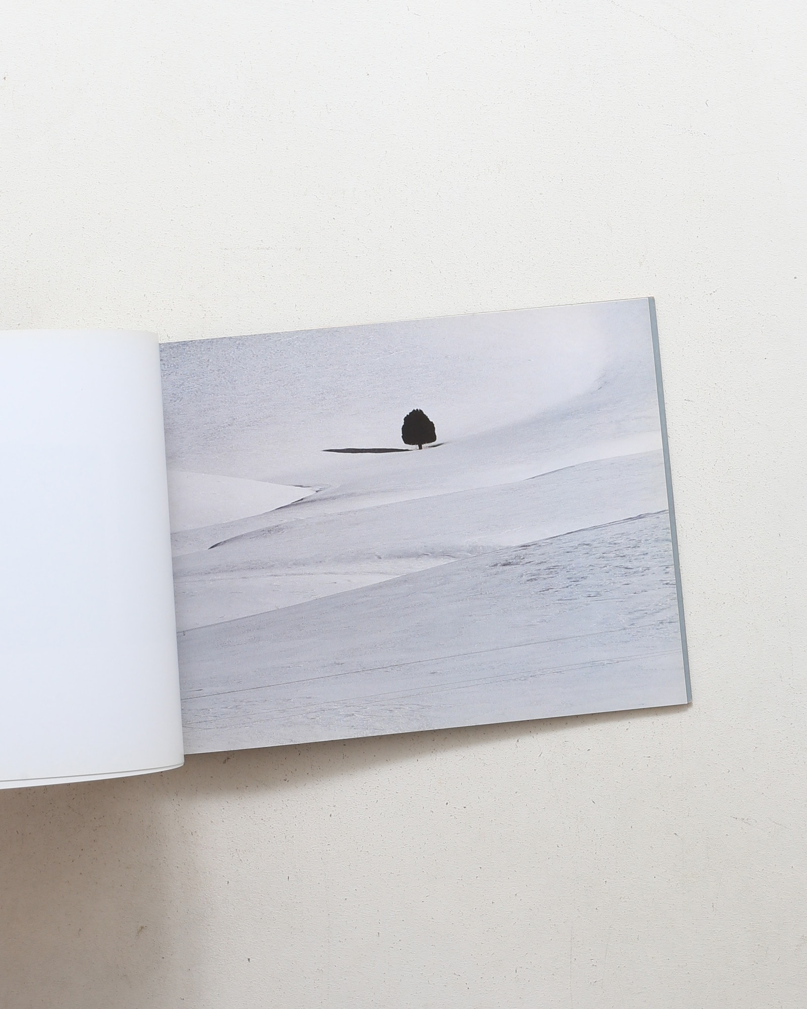 Abbas Kiarostami: Photographs