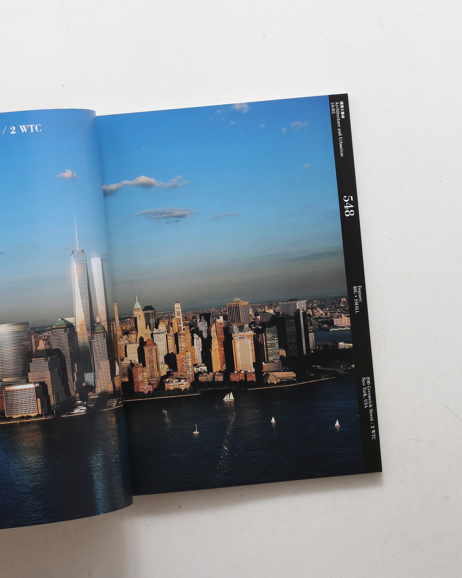 建築と都市 a+u 2016年5月 No.548 BIG+SMALL