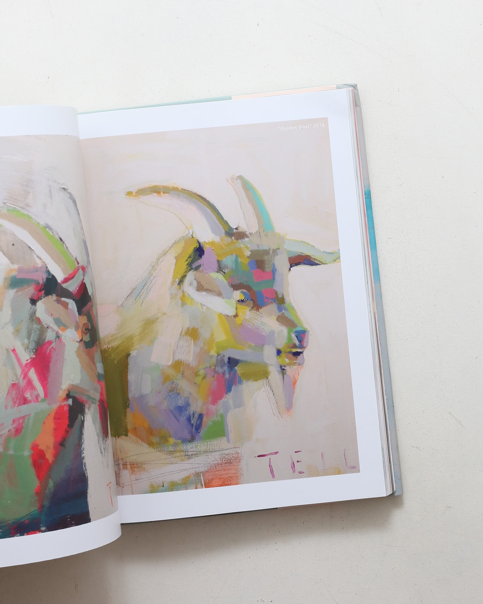 The Color Teil: Life, Work, and Inspiration | Teil Duncan