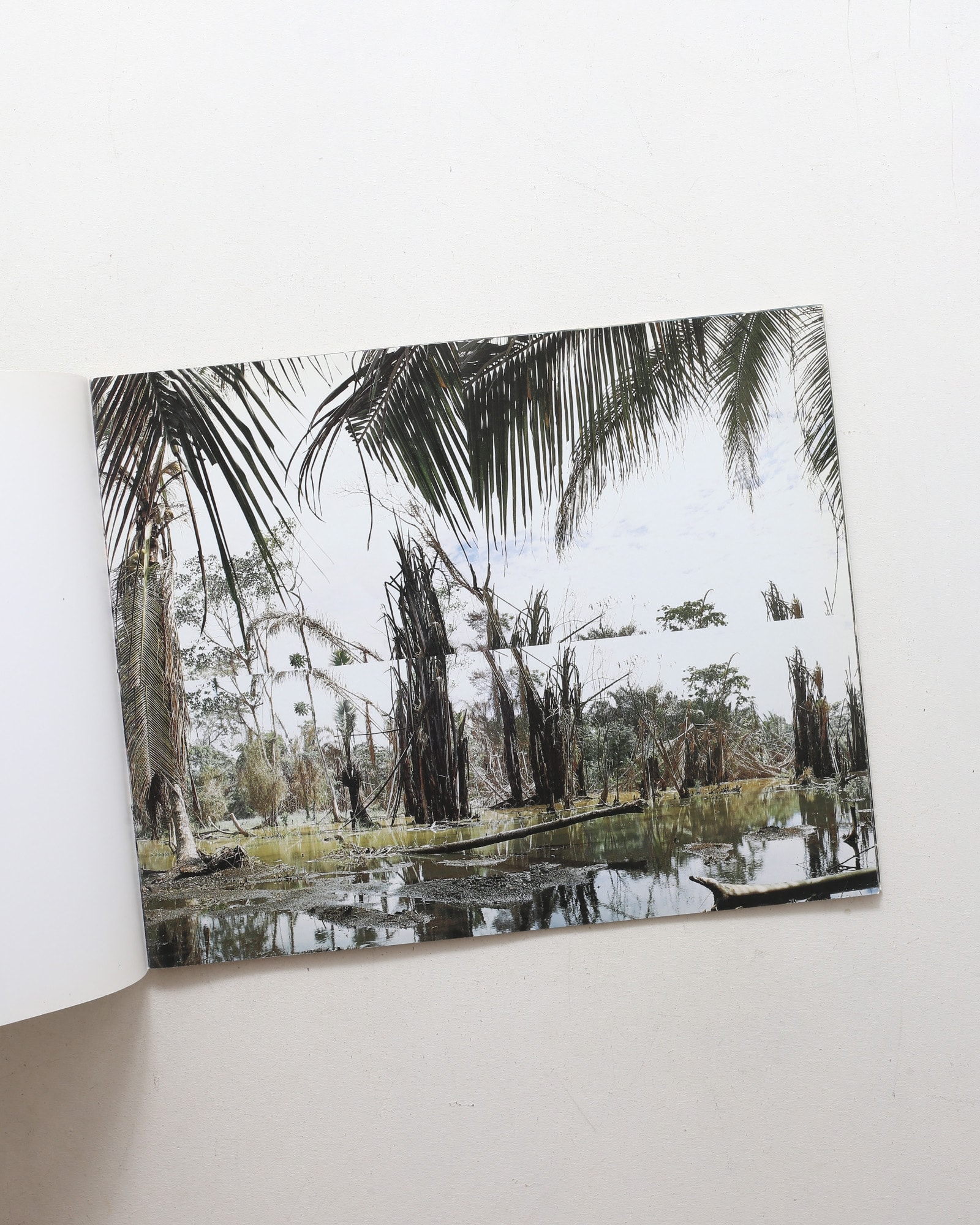 Wout Berger
