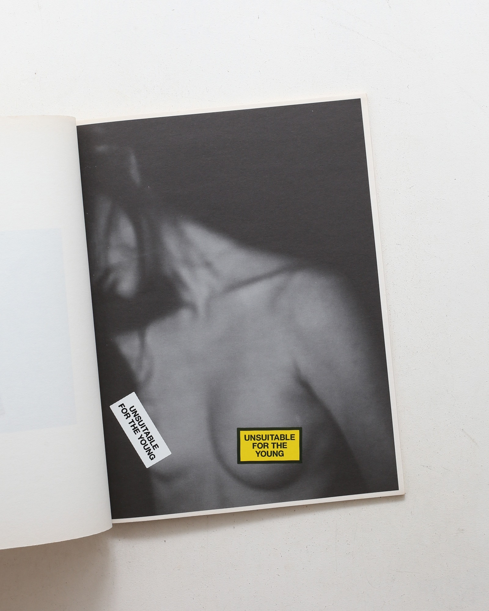 This Magazine is designed to be Suitable for the Young