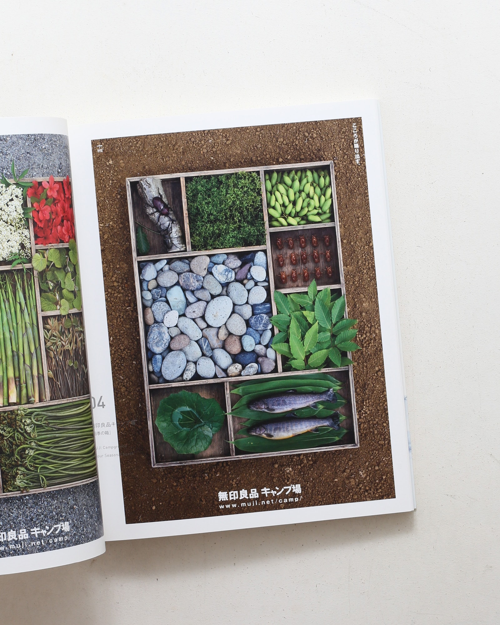 Norito Shinmura Works