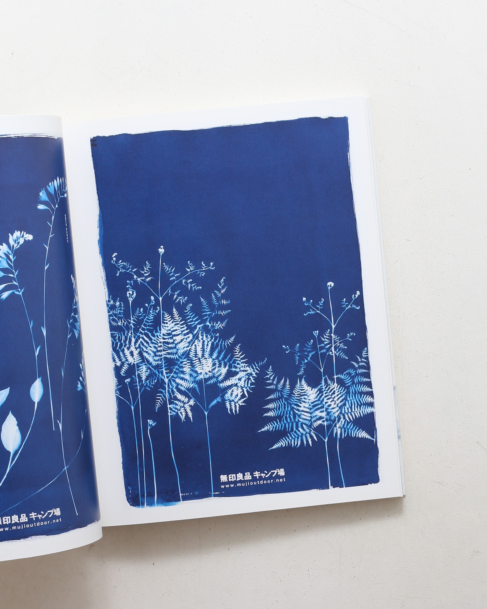 Norito Shinmura Works