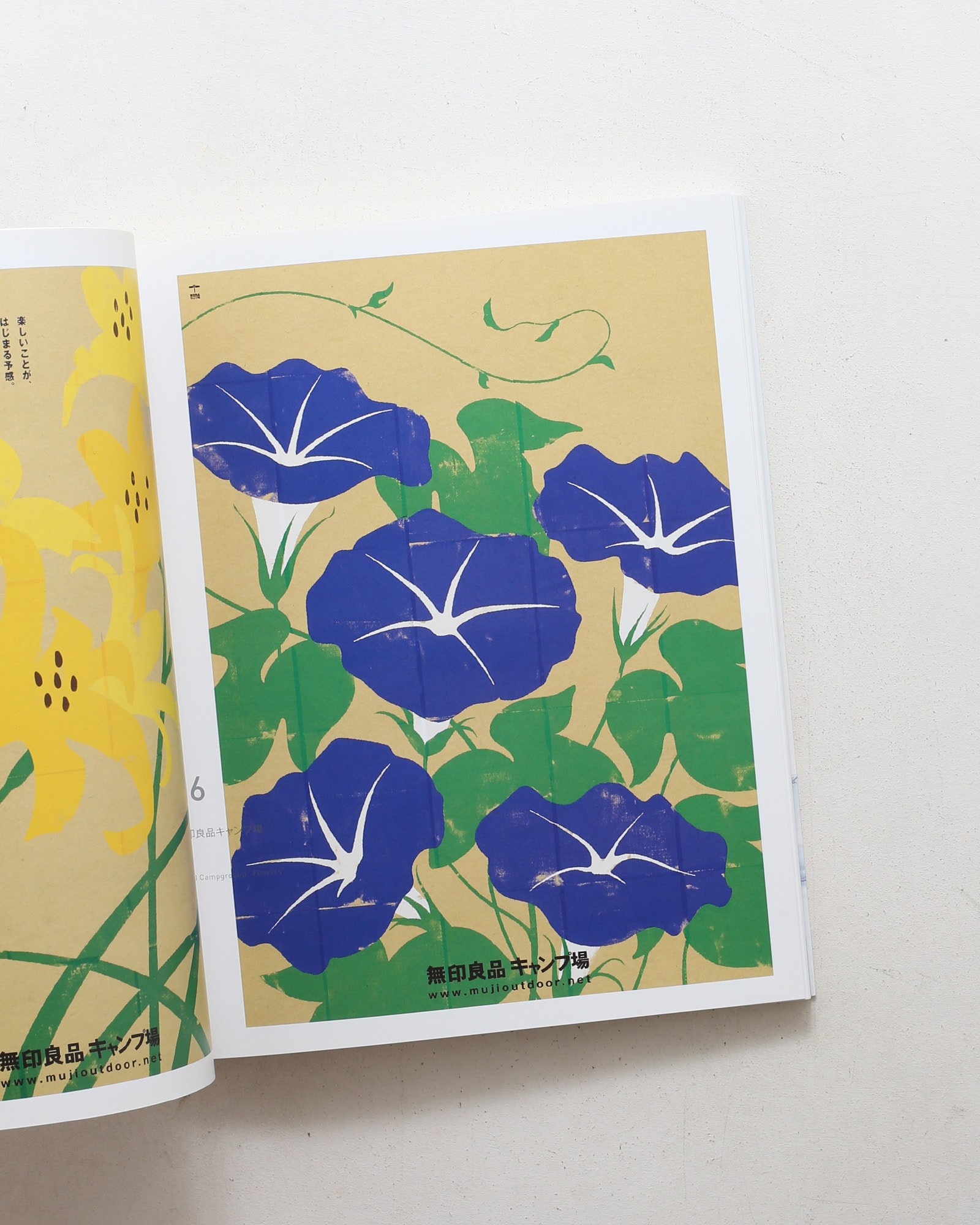 Norito Shinmura Works
