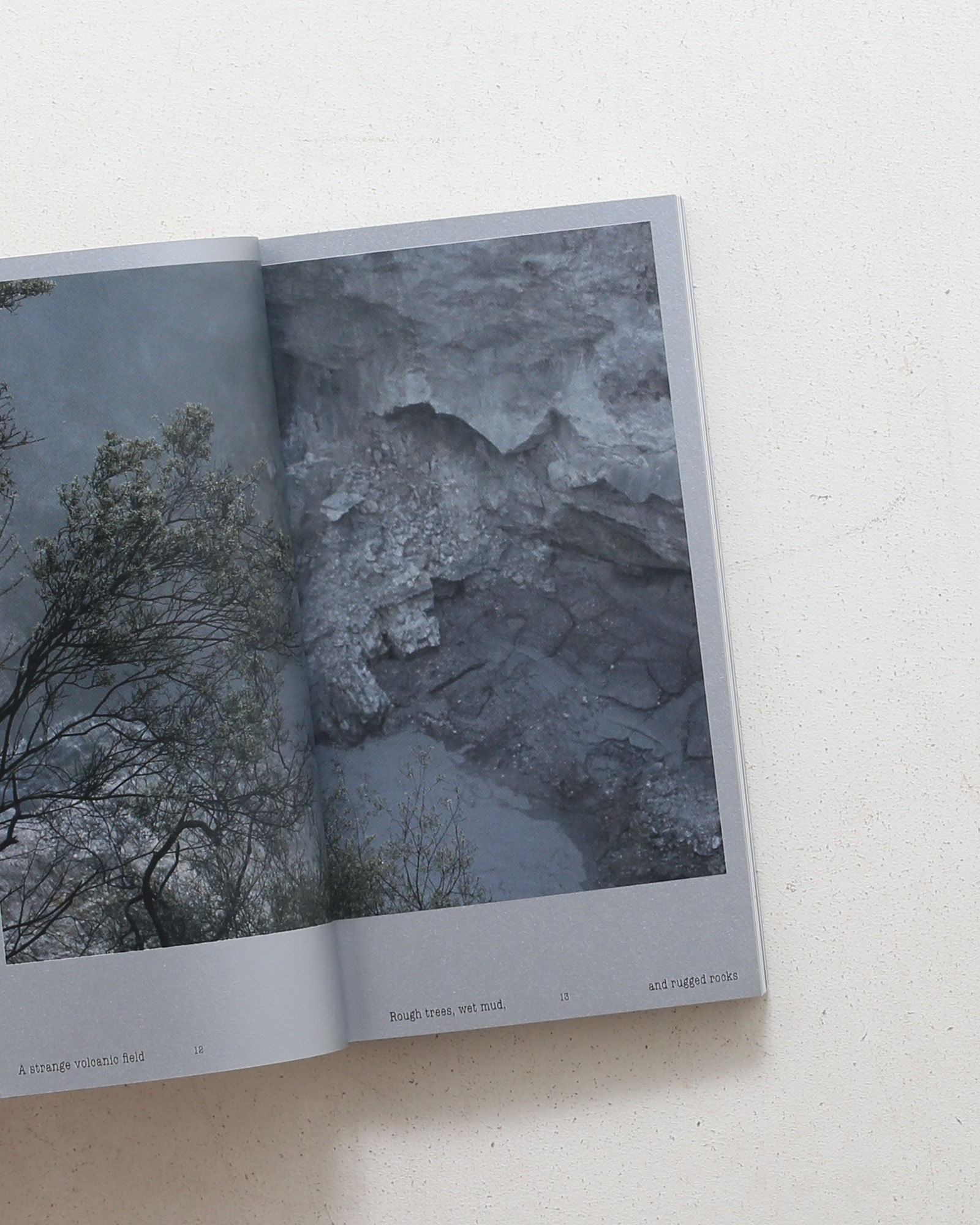 Ashes | Lee Reum