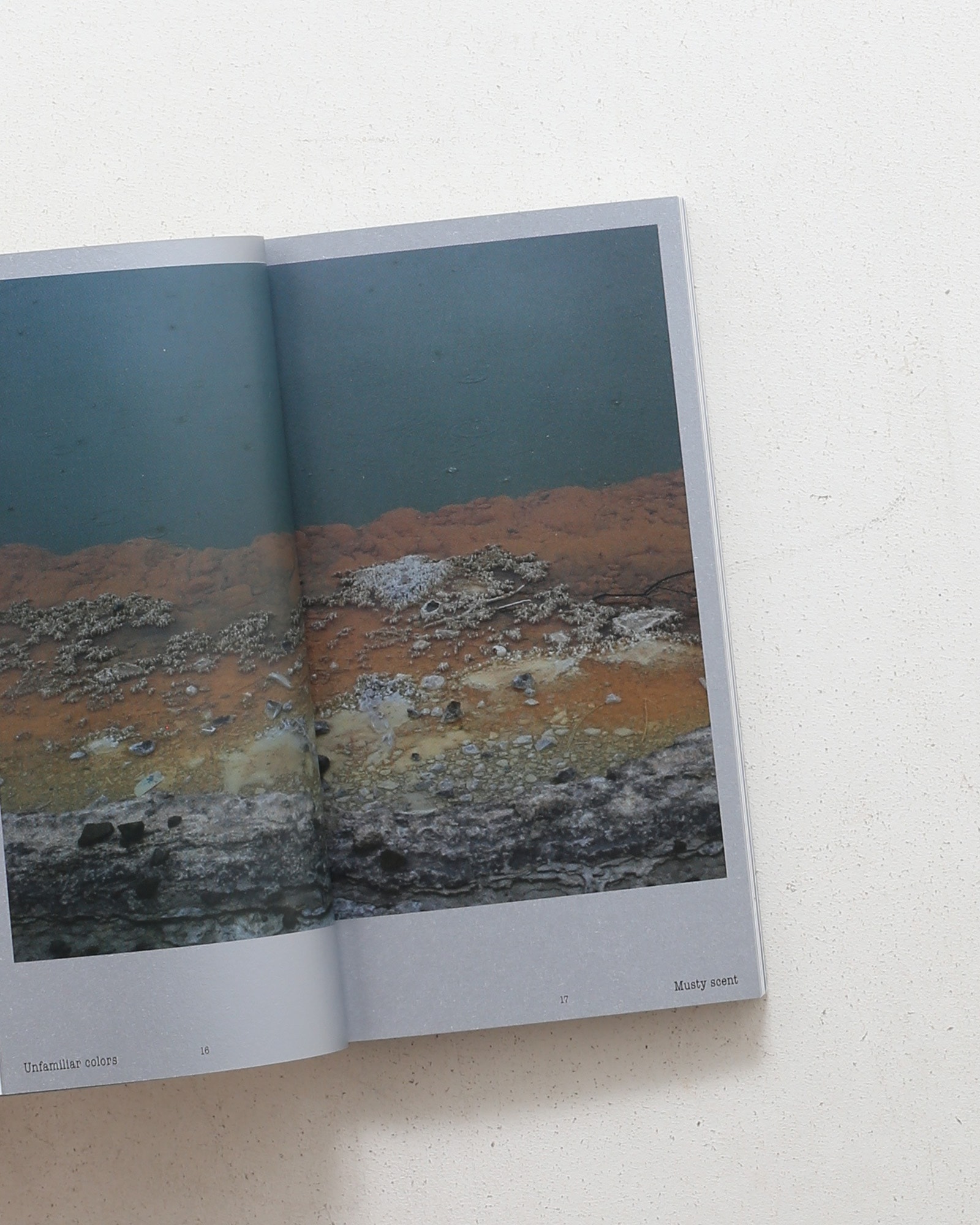 Ashes | Lee Reum