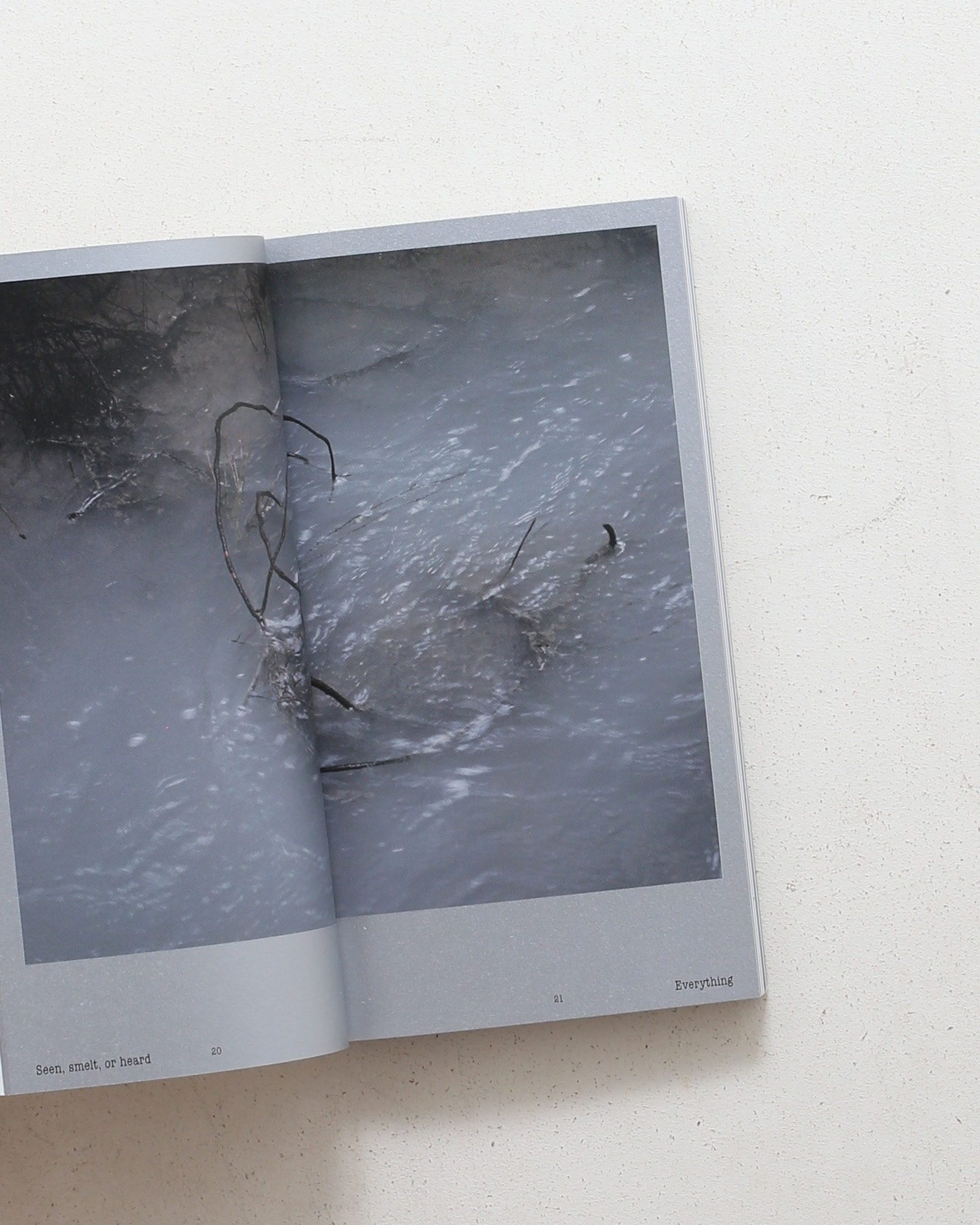 Ashes | Lee Reum