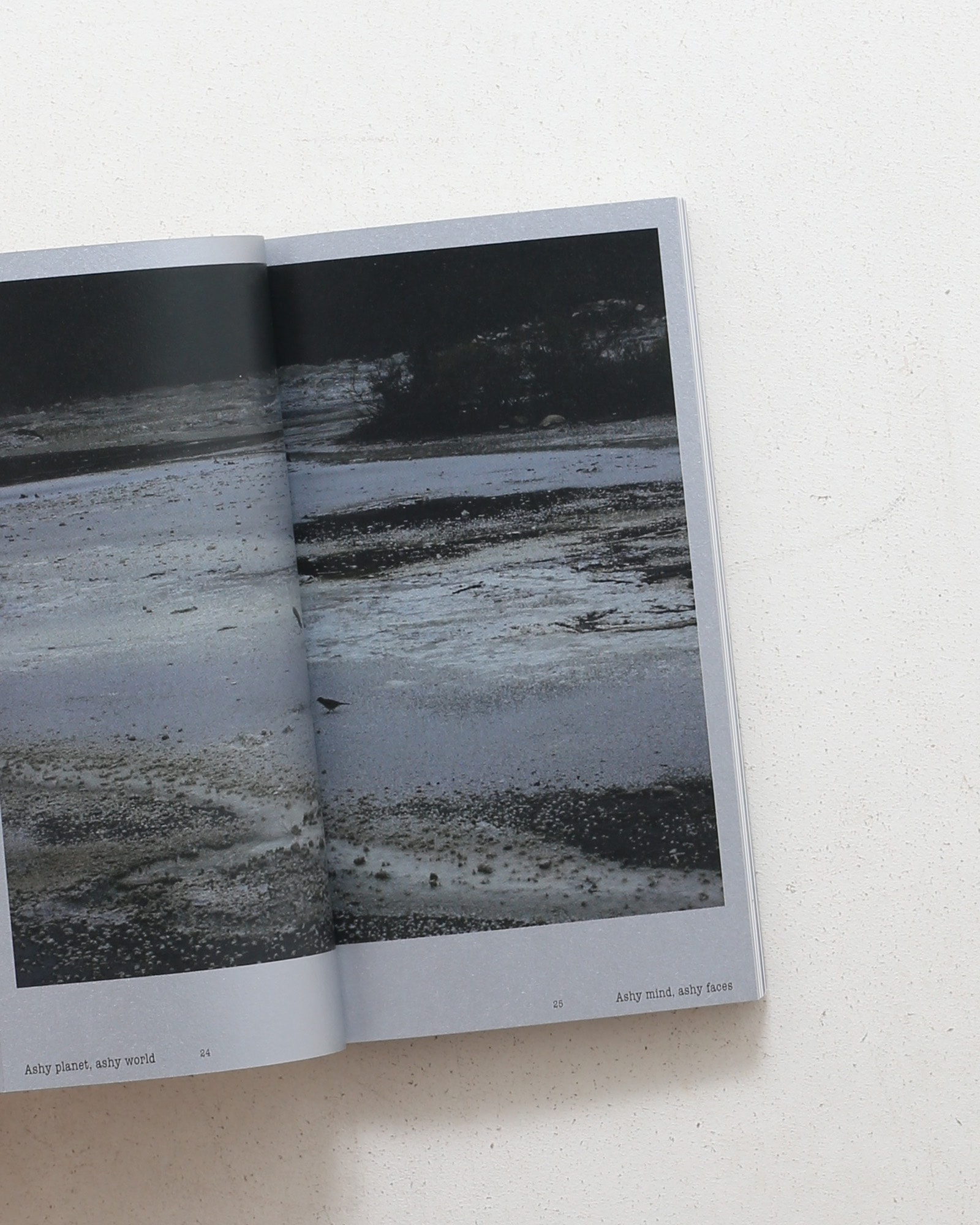 Ashes | Lee Reum