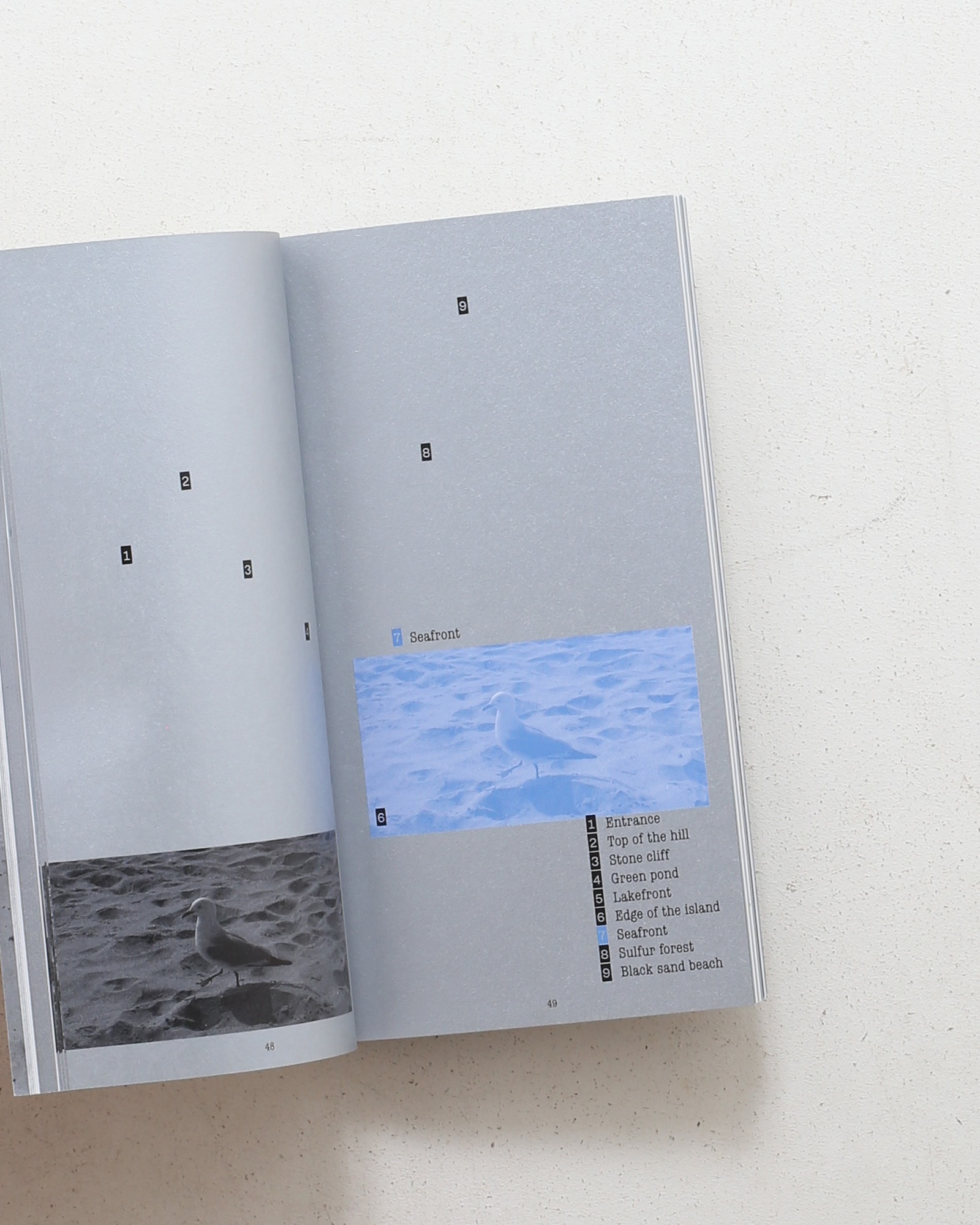 Ashes | Lee Reum