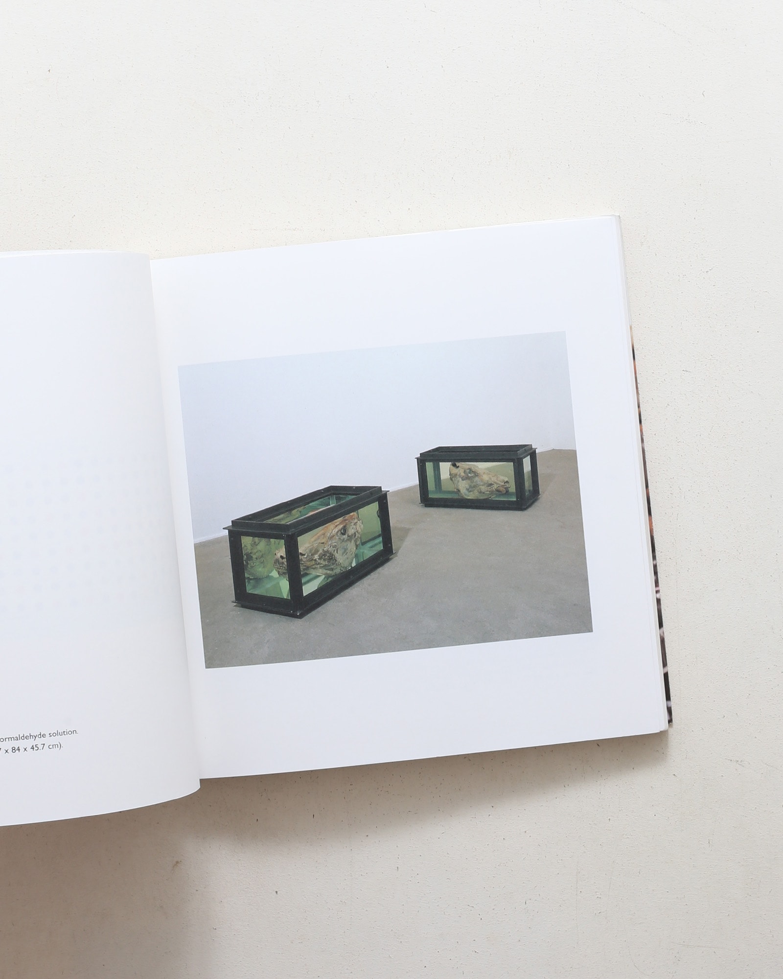 No Sense of Absolute Corruption | Damien Hirst