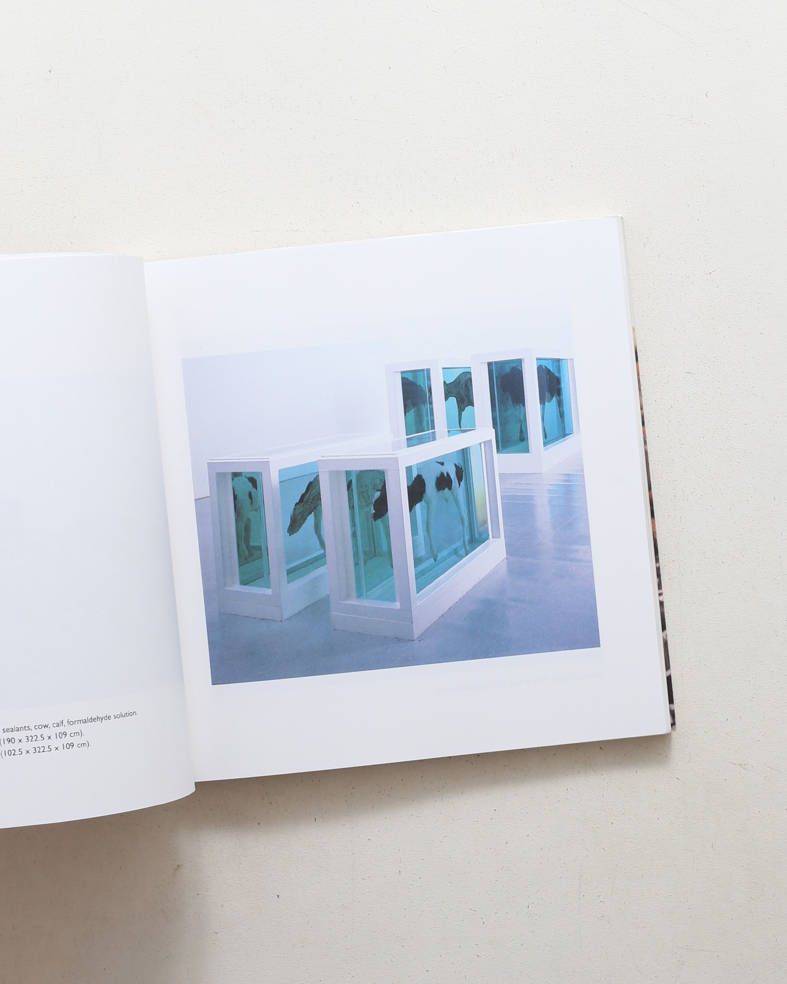 No Sense of Absolute Corruption | Damien Hirst