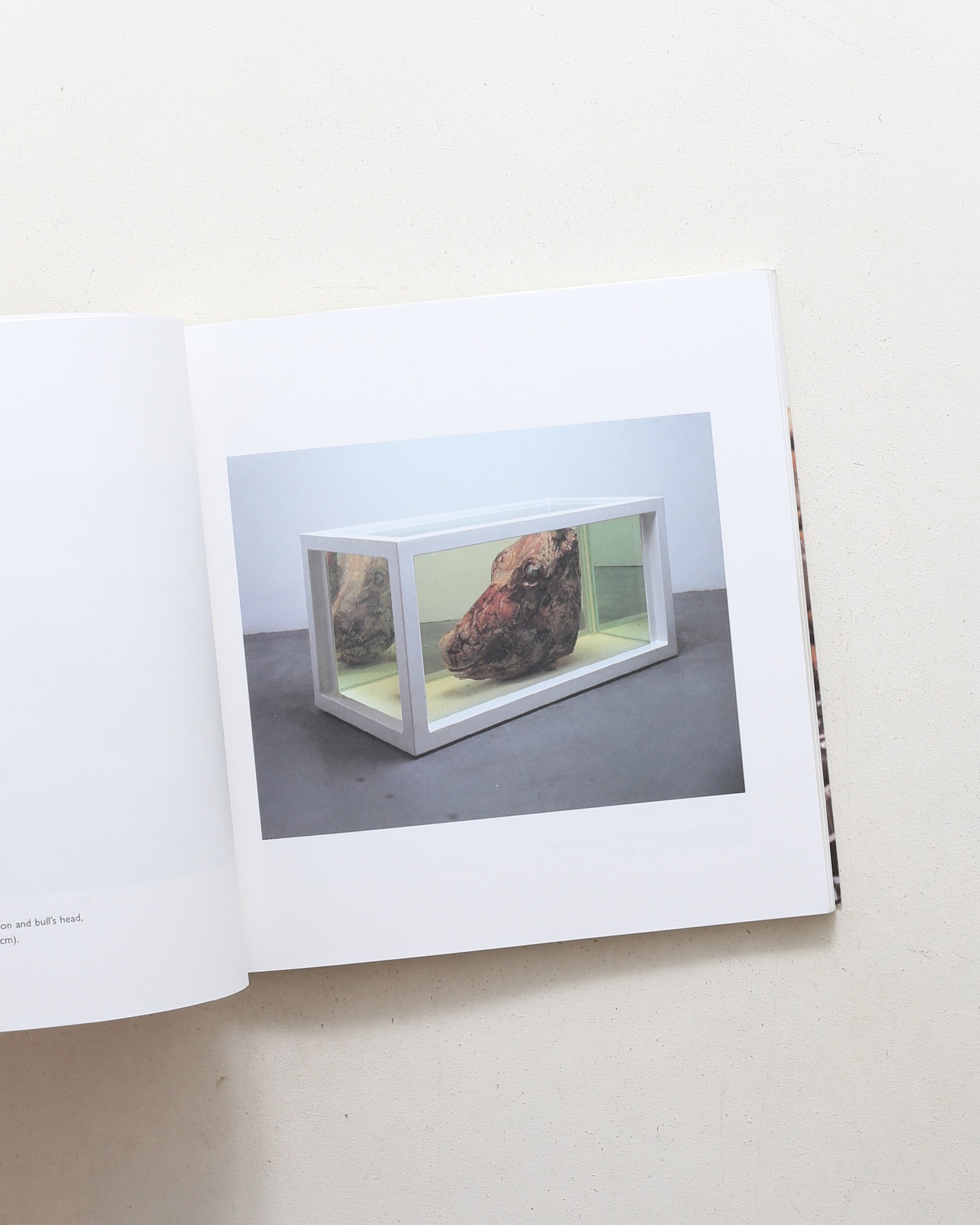 No Sense of Absolute Corruption | Damien Hirst