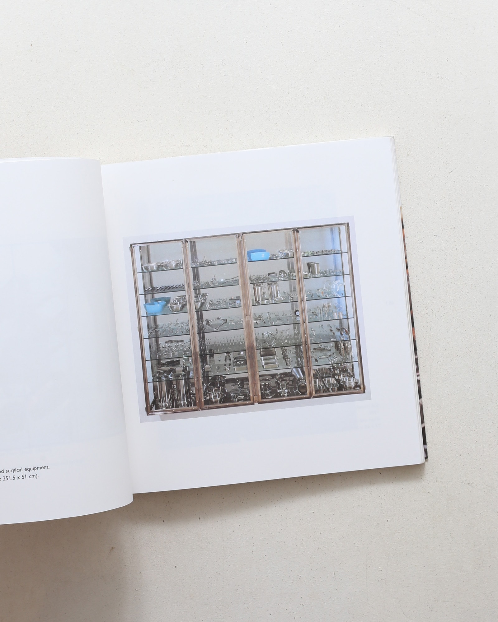No Sense of Absolute Corruption | Damien Hirst
