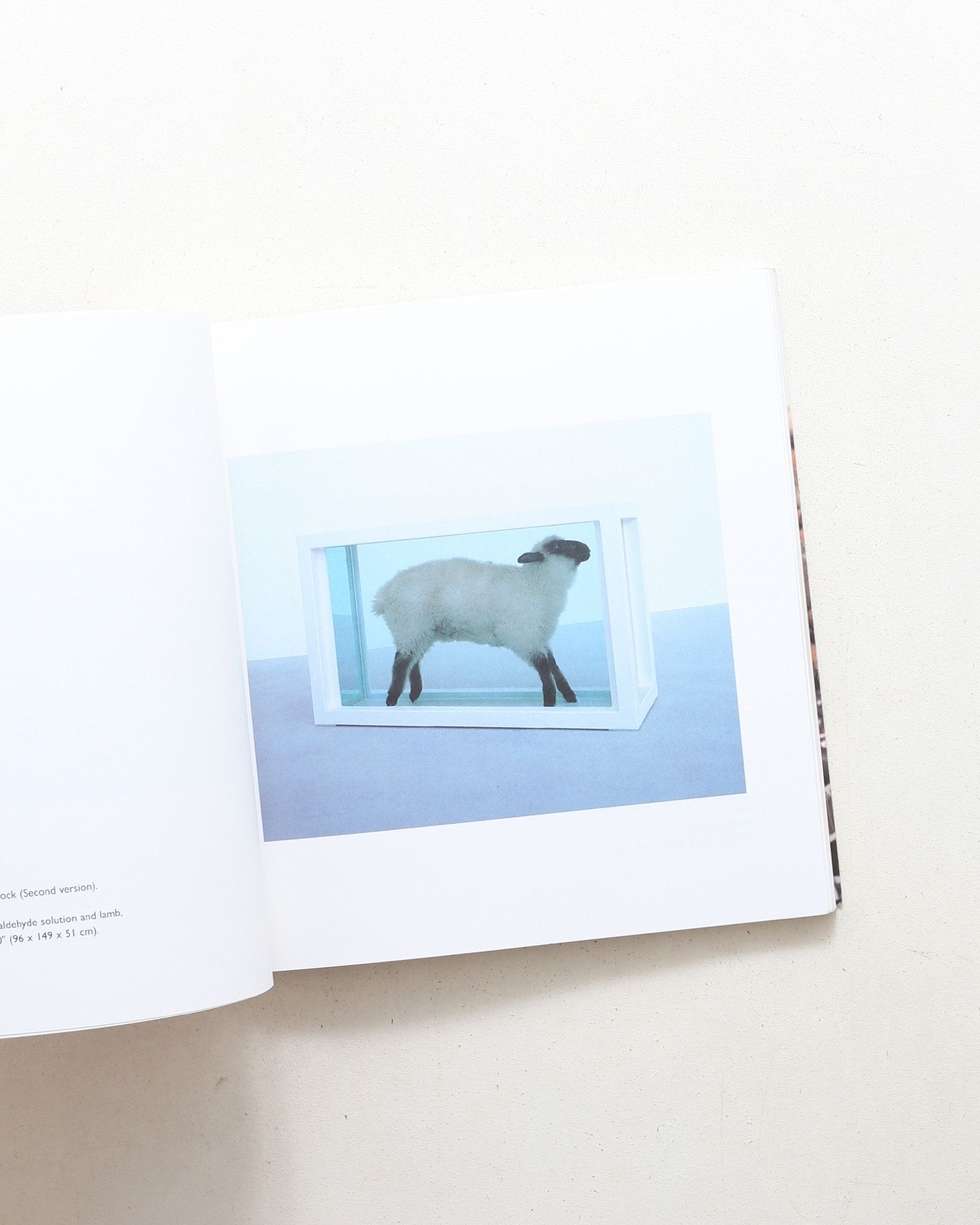 No Sense of Absolute Corruption | Damien Hirst