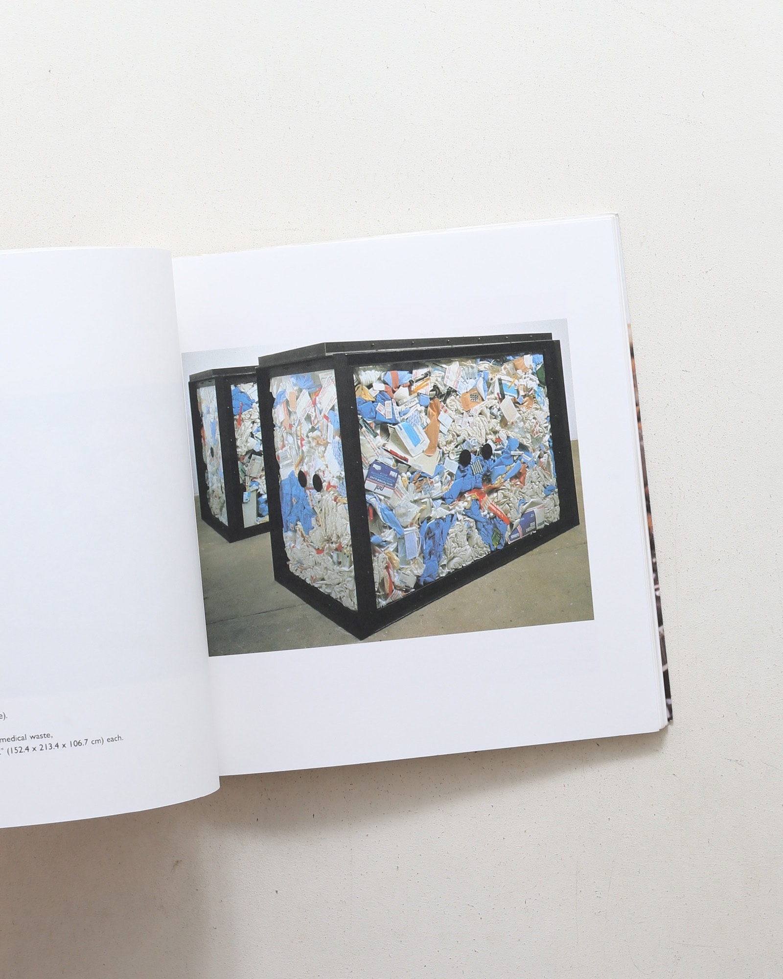 No Sense of Absolute Corruption | Damien Hirst