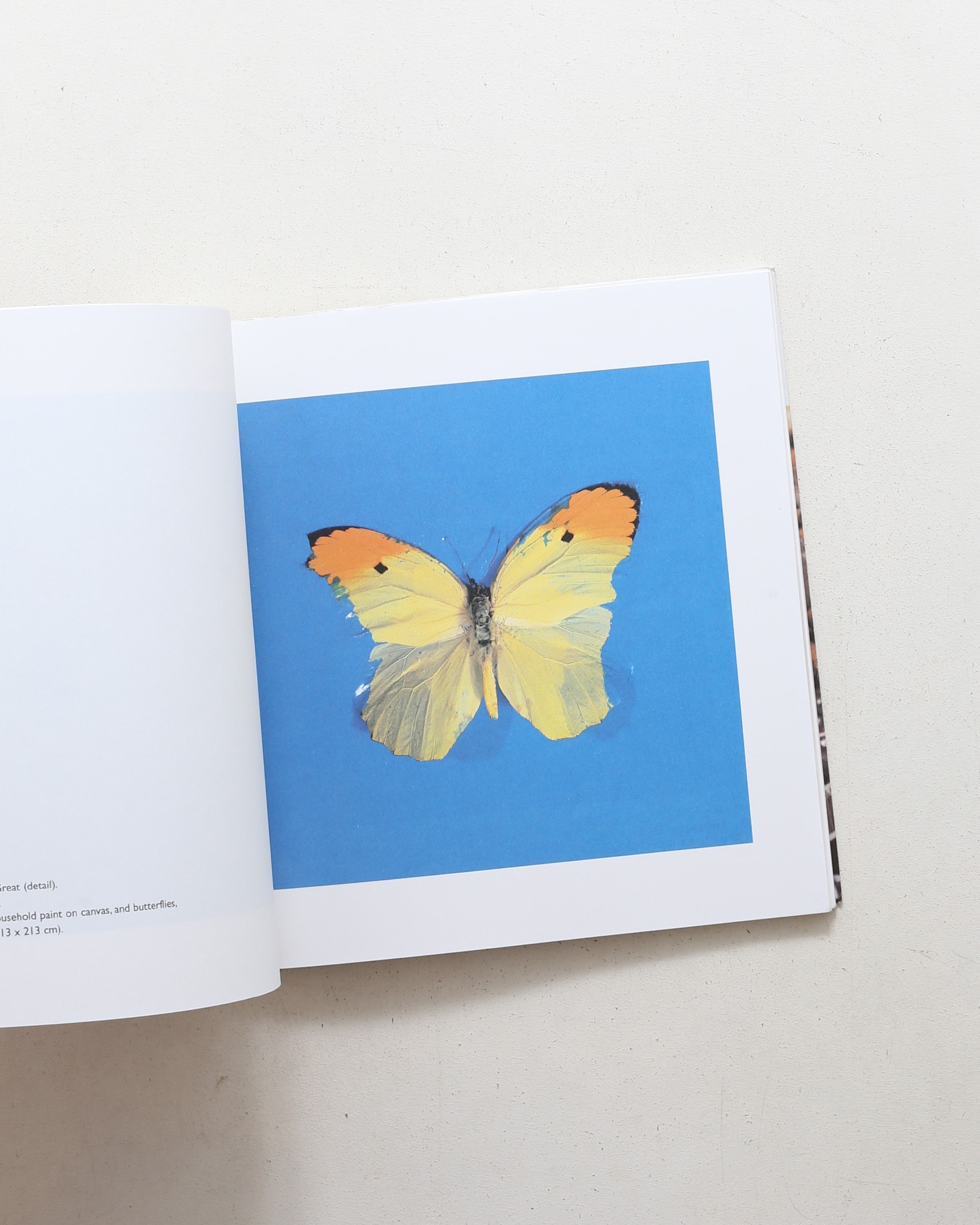 No Sense of Absolute Corruption | Damien Hirst