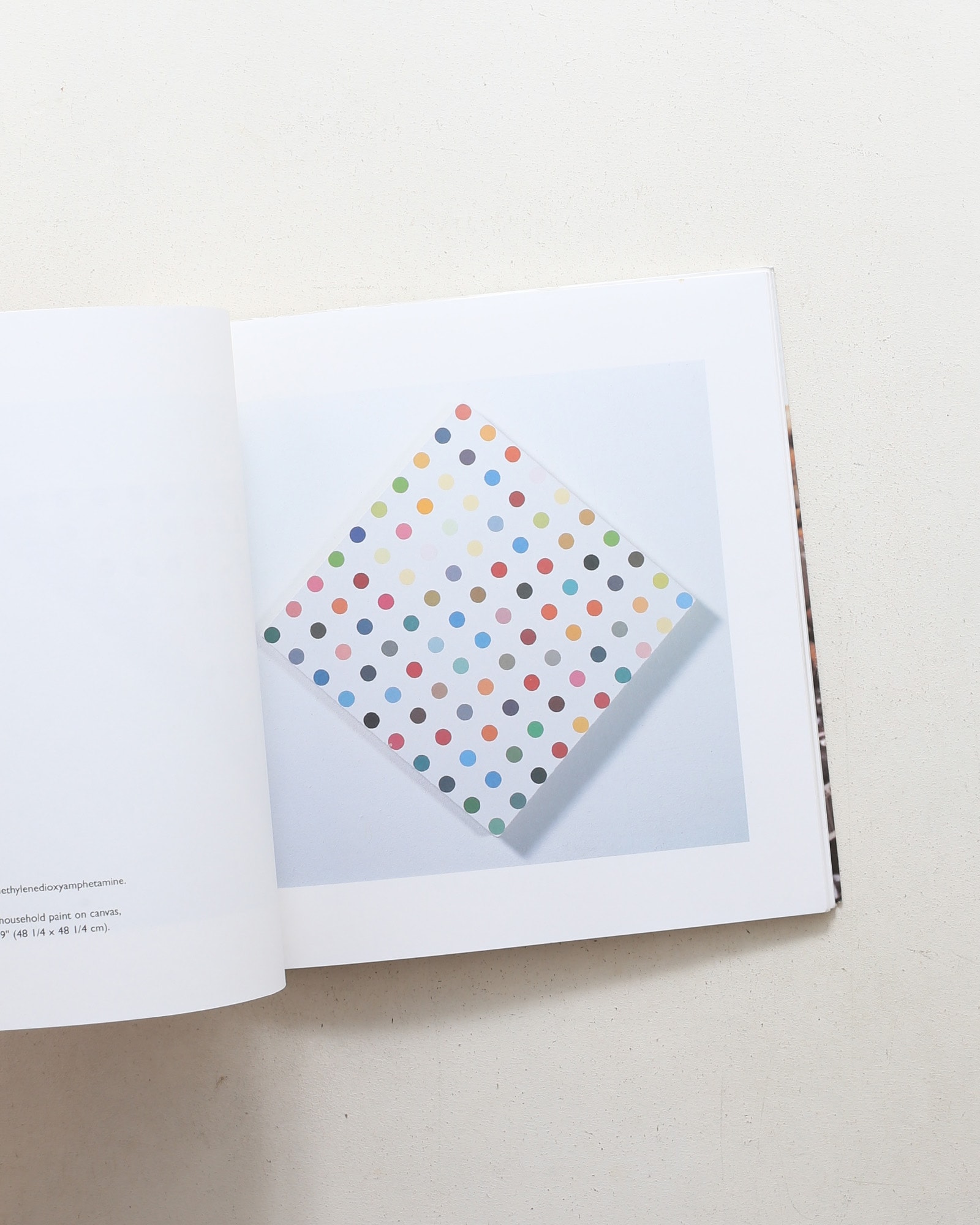 No Sense of Absolute Corruption | Damien Hirst