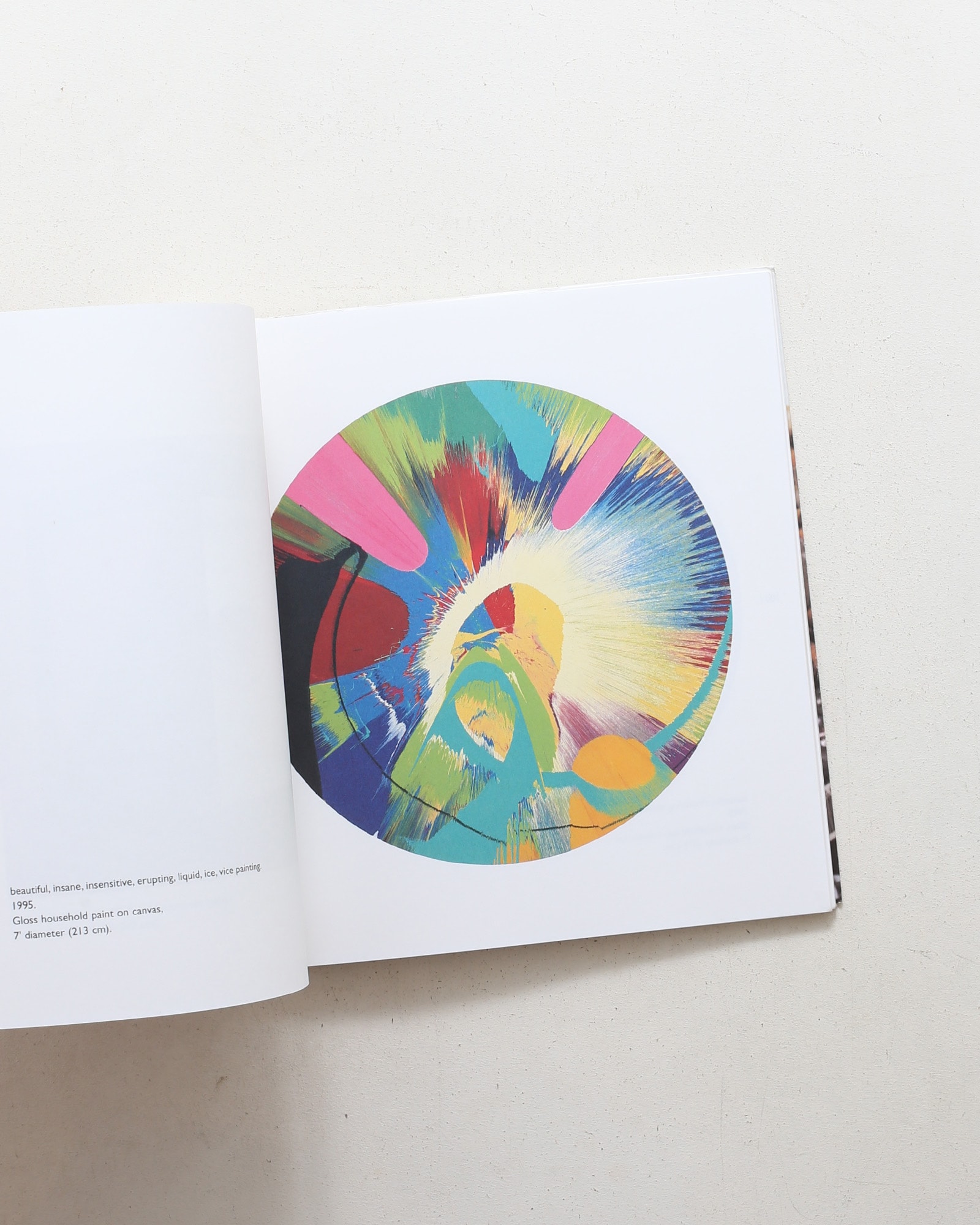 No Sense of Absolute Corruption | Damien Hirst