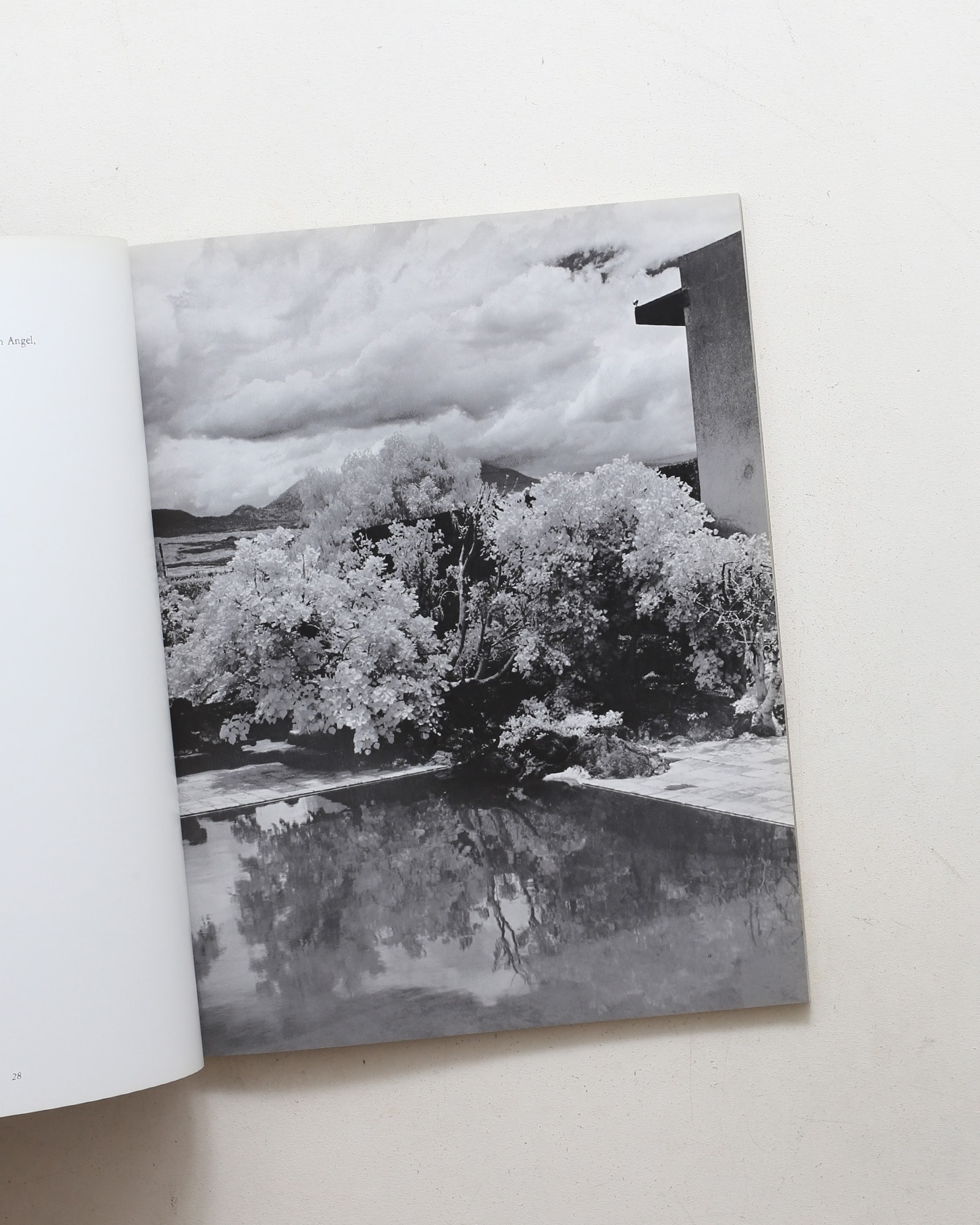 Architecture of Luis Barragan