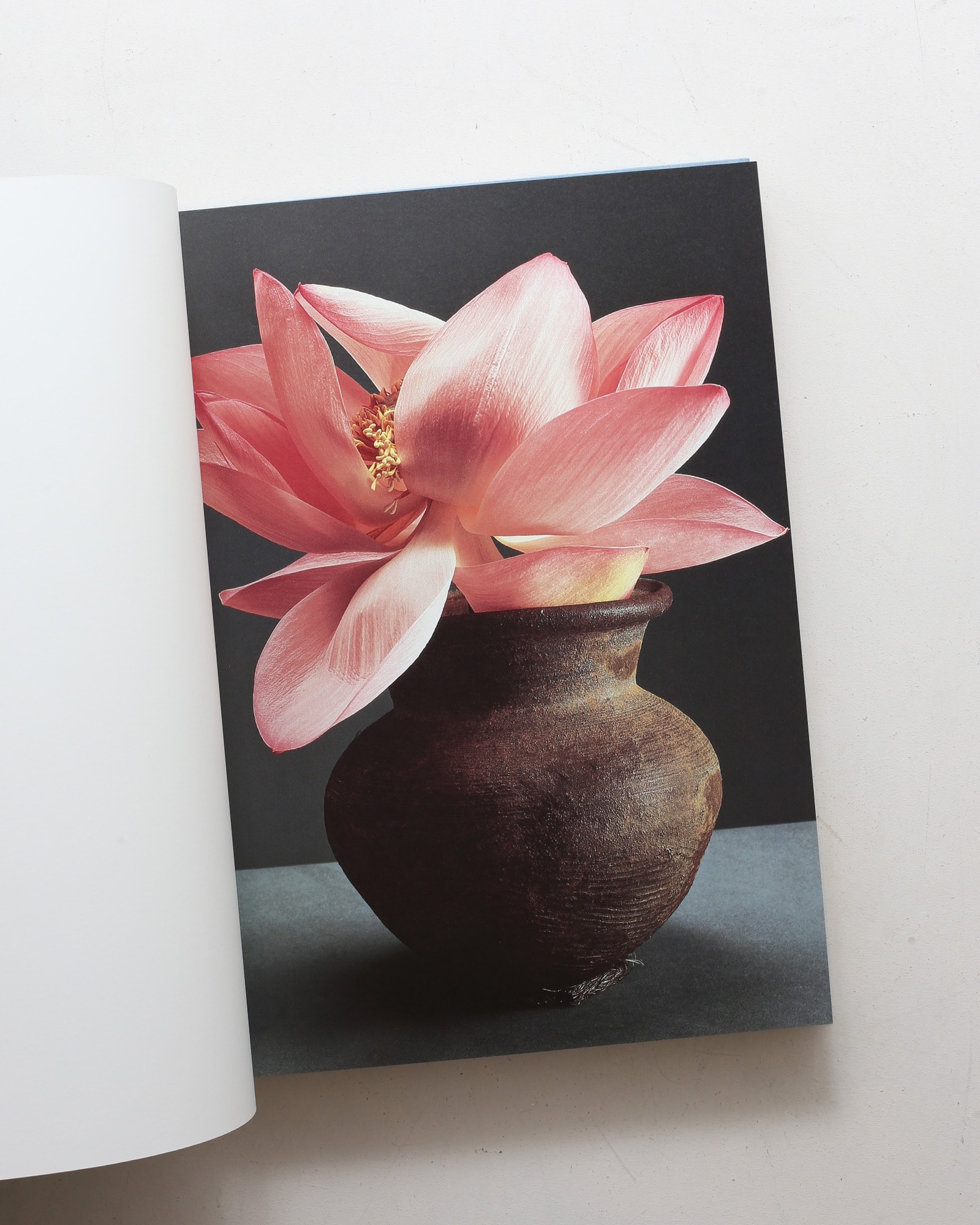 魔の山 | 中川幸夫