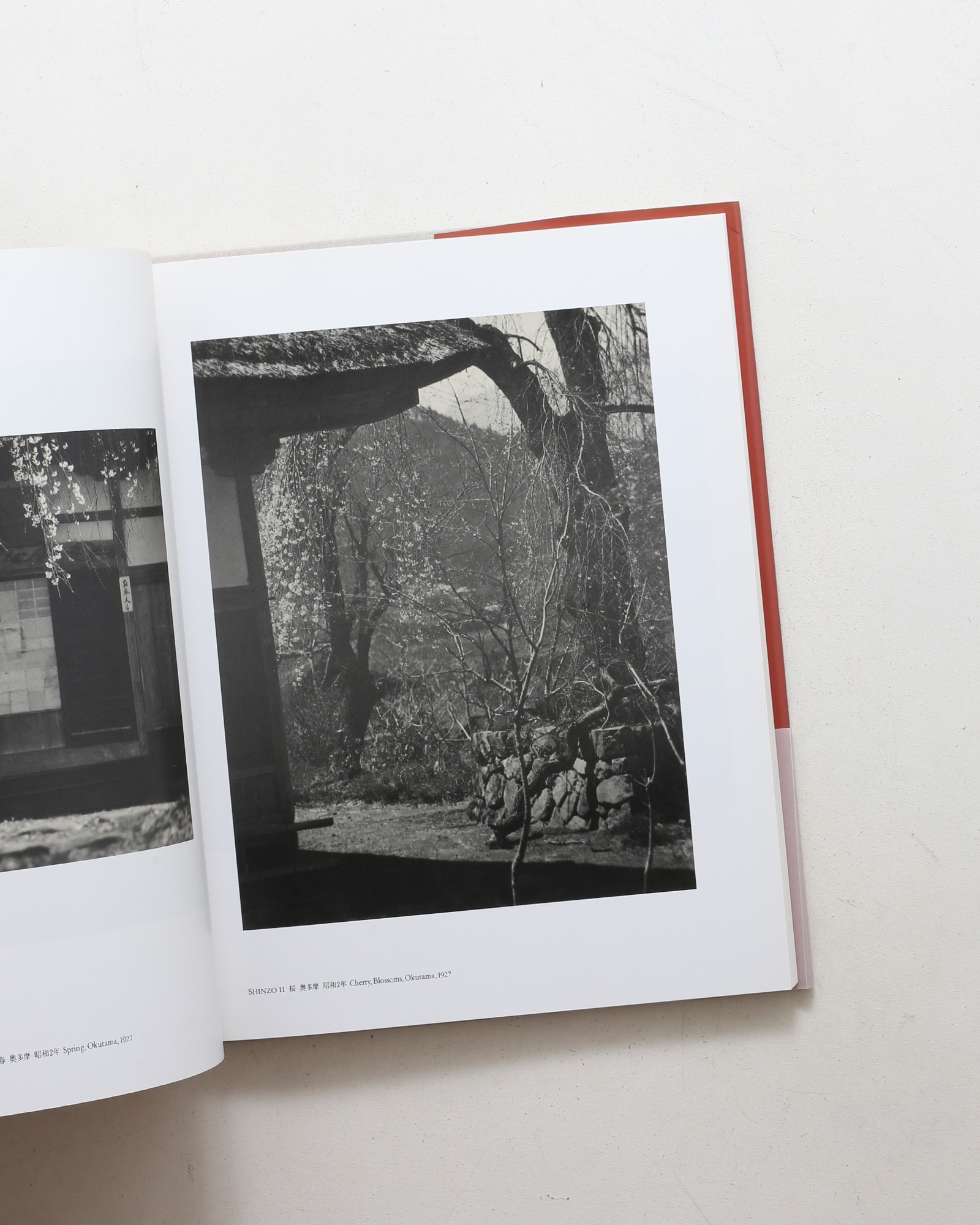 光とその諧調 福原信三・福原路草写真集 1913年-1941年