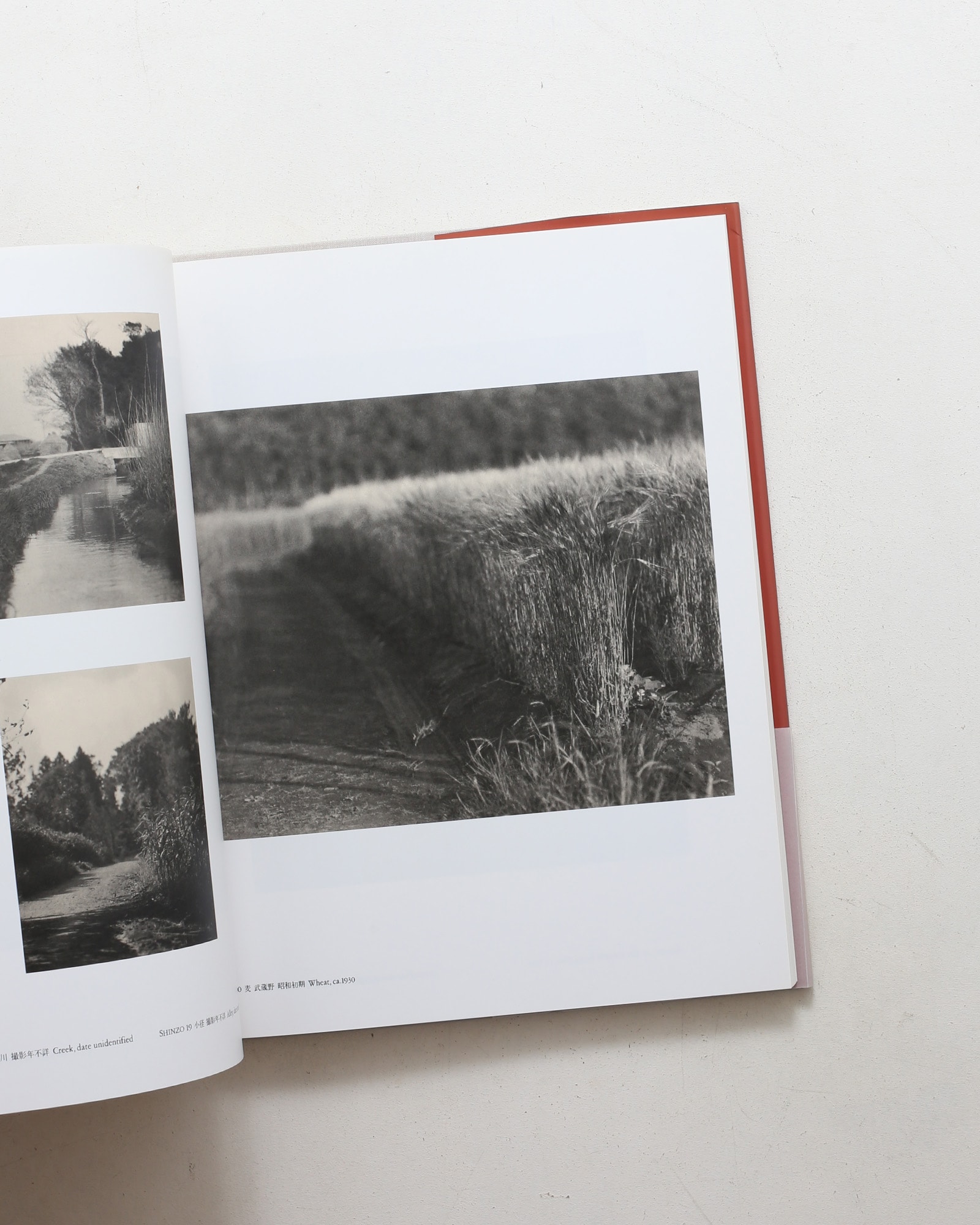 光とその諧調 福原信三・福原路草写真集 1913年-1941年