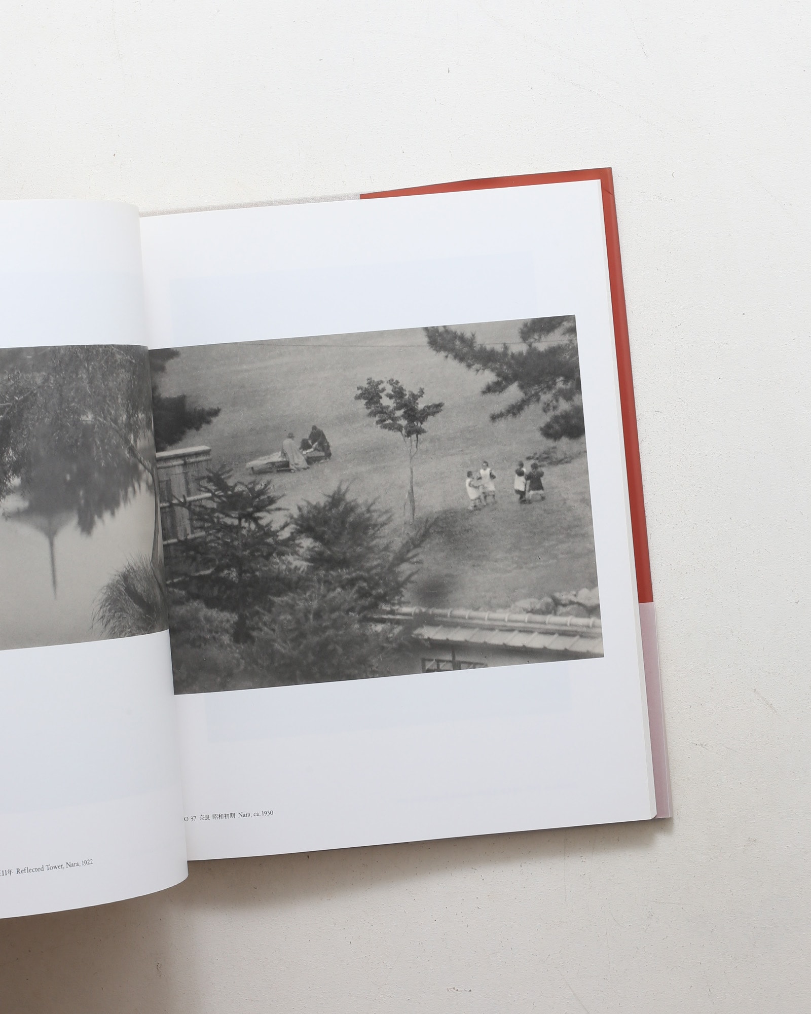 光とその諧調 福原信三・福原路草写真集 1913年-1941年