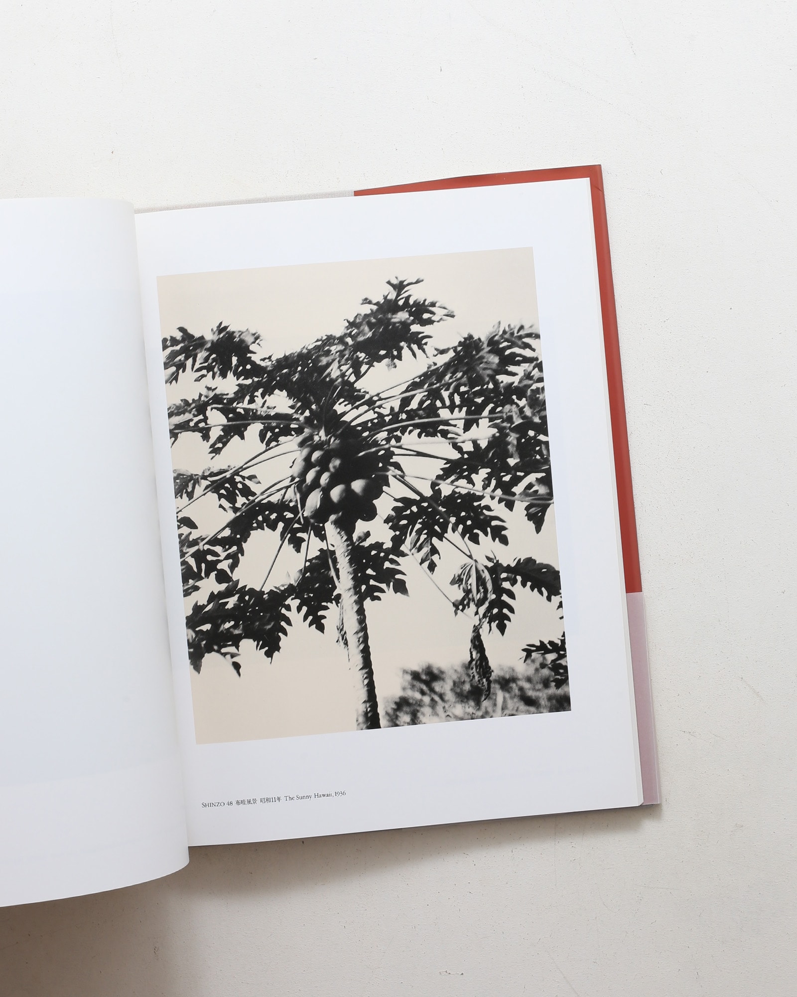 光とその諧調 福原信三・福原路草写真集 1913年-1941年