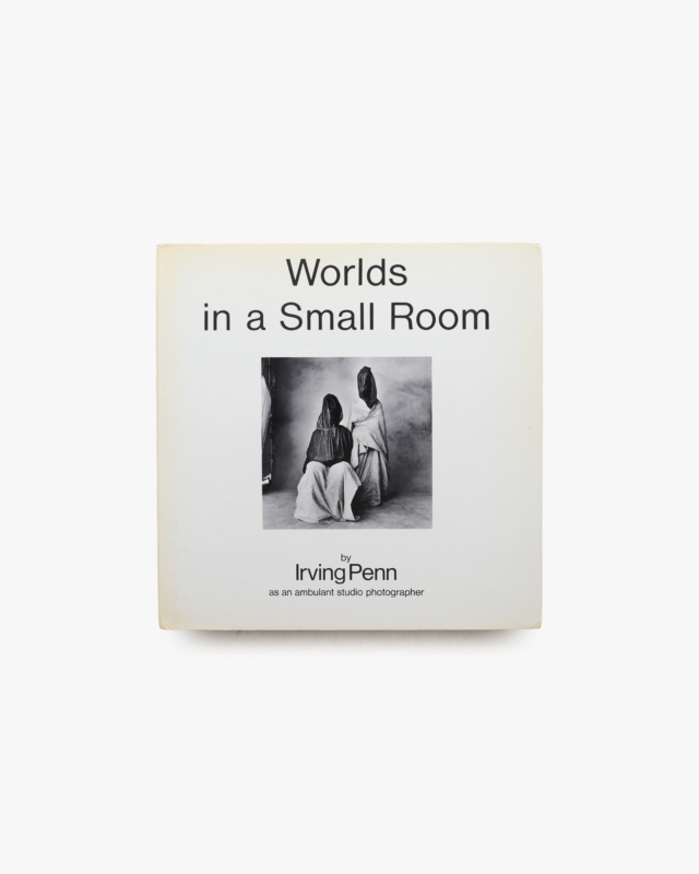 Worlds in a Small Room | Irving Penn