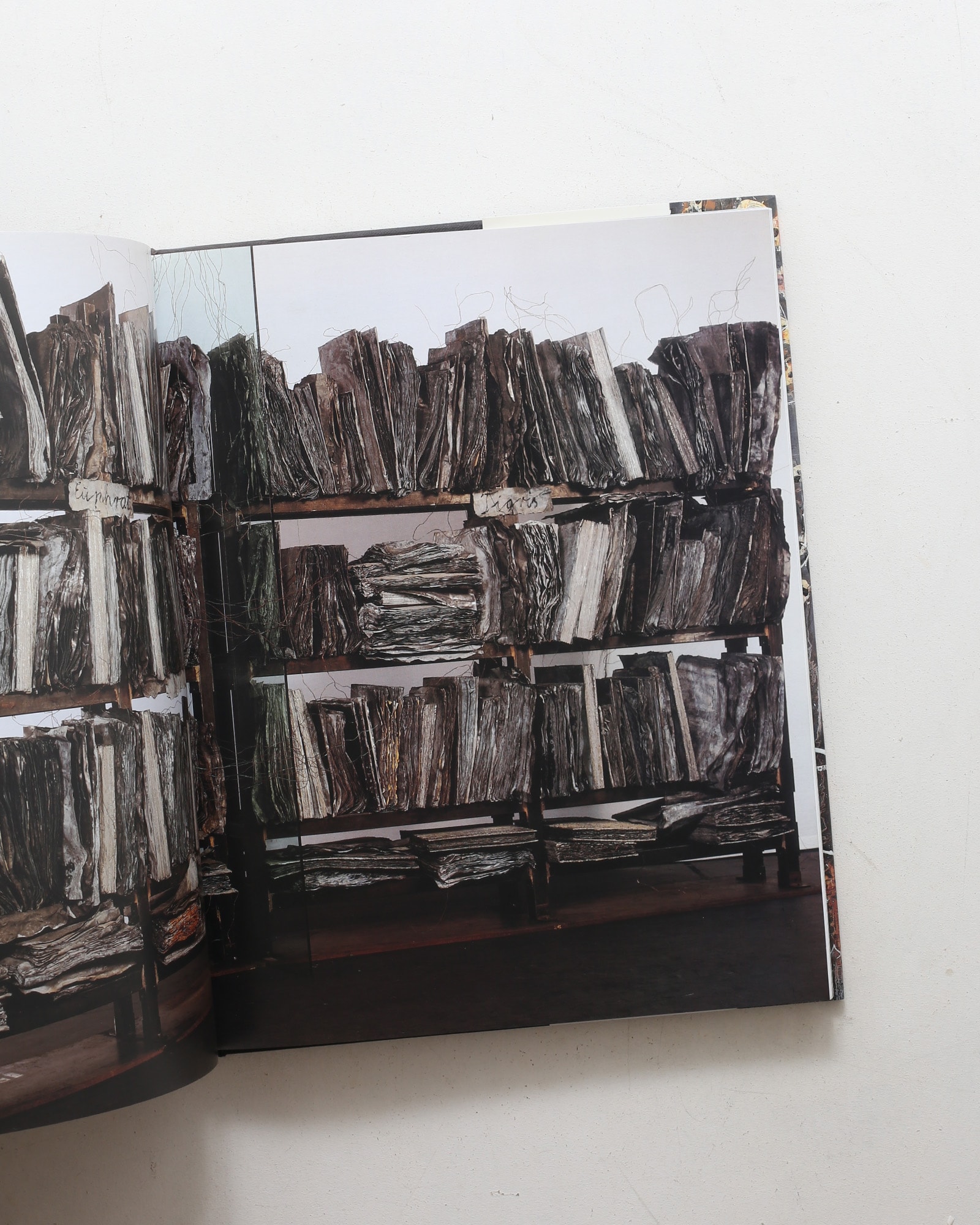 Anselm Kiefer