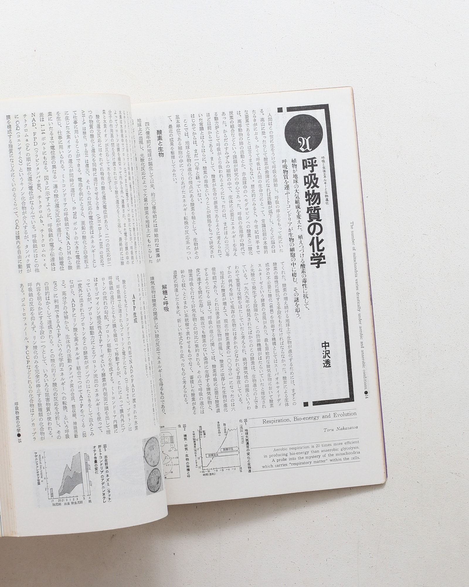 遊 1002号 呼吸