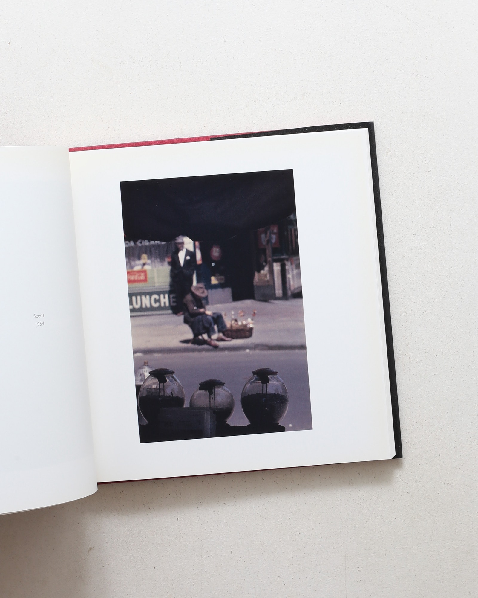 Saul Leiter: Early Color