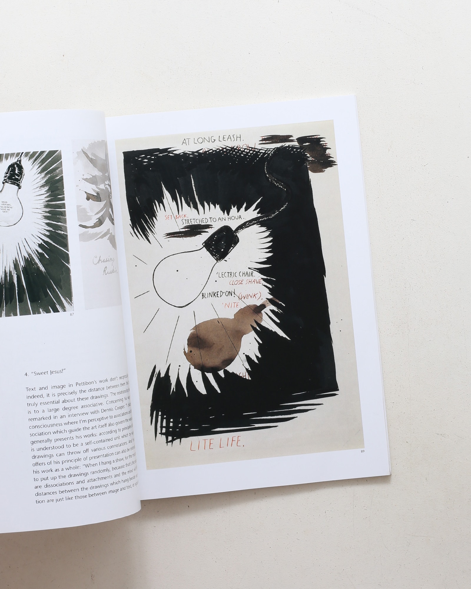 The Pages which Contain Truth are Blank | Raymond Pettibon