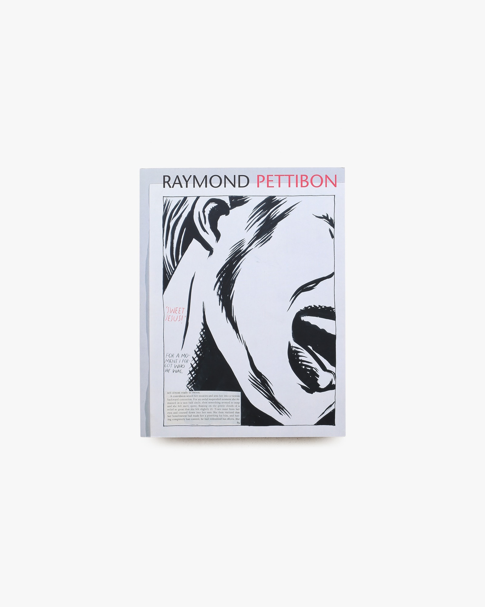 The Pages which Contain Truth are Blank | Raymond Pettibon
