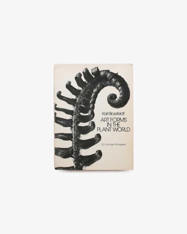 Art Forms in the Plant World | Karl Blossfeldt