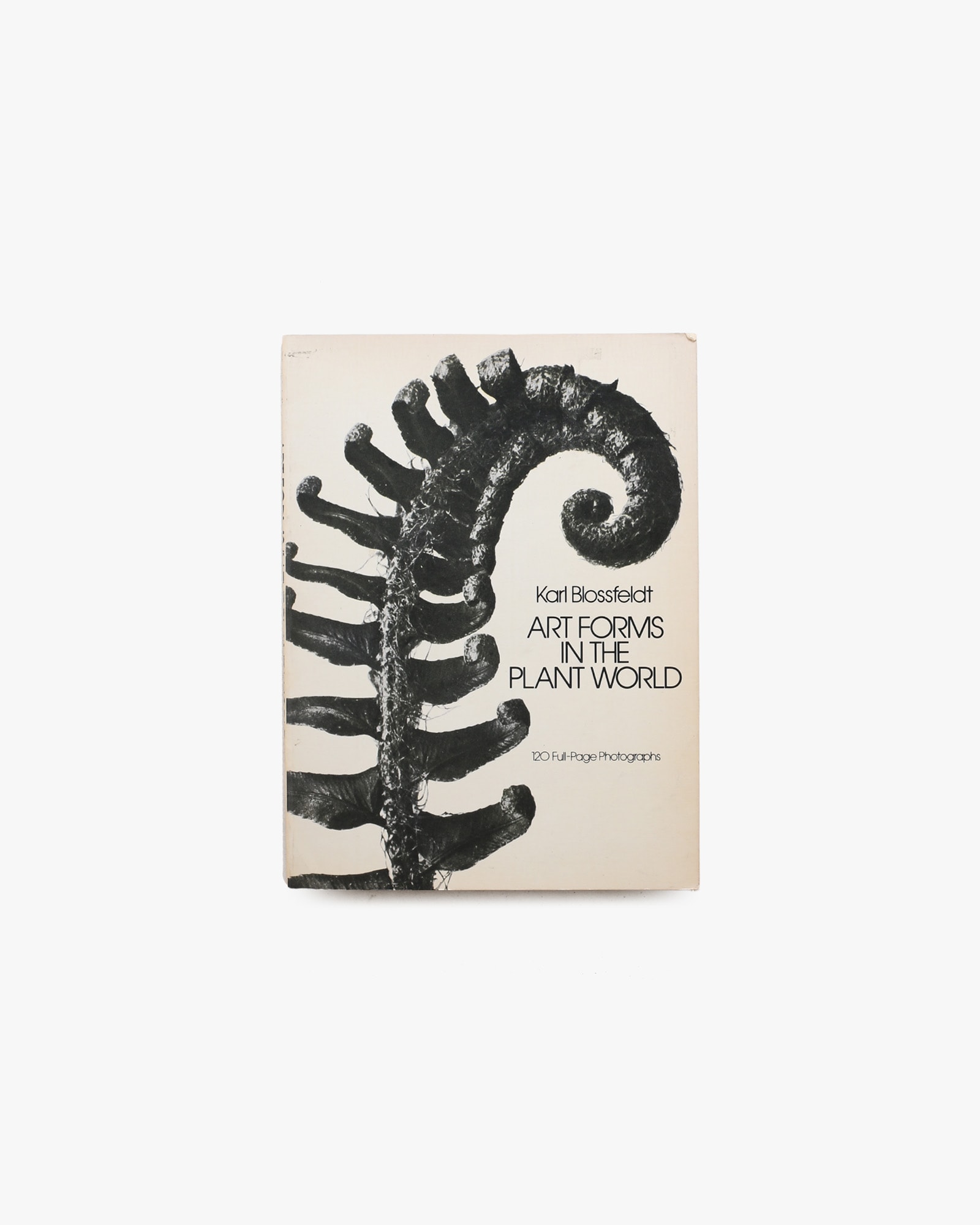Art Forms in the Plant World | Karl Blossfeldt