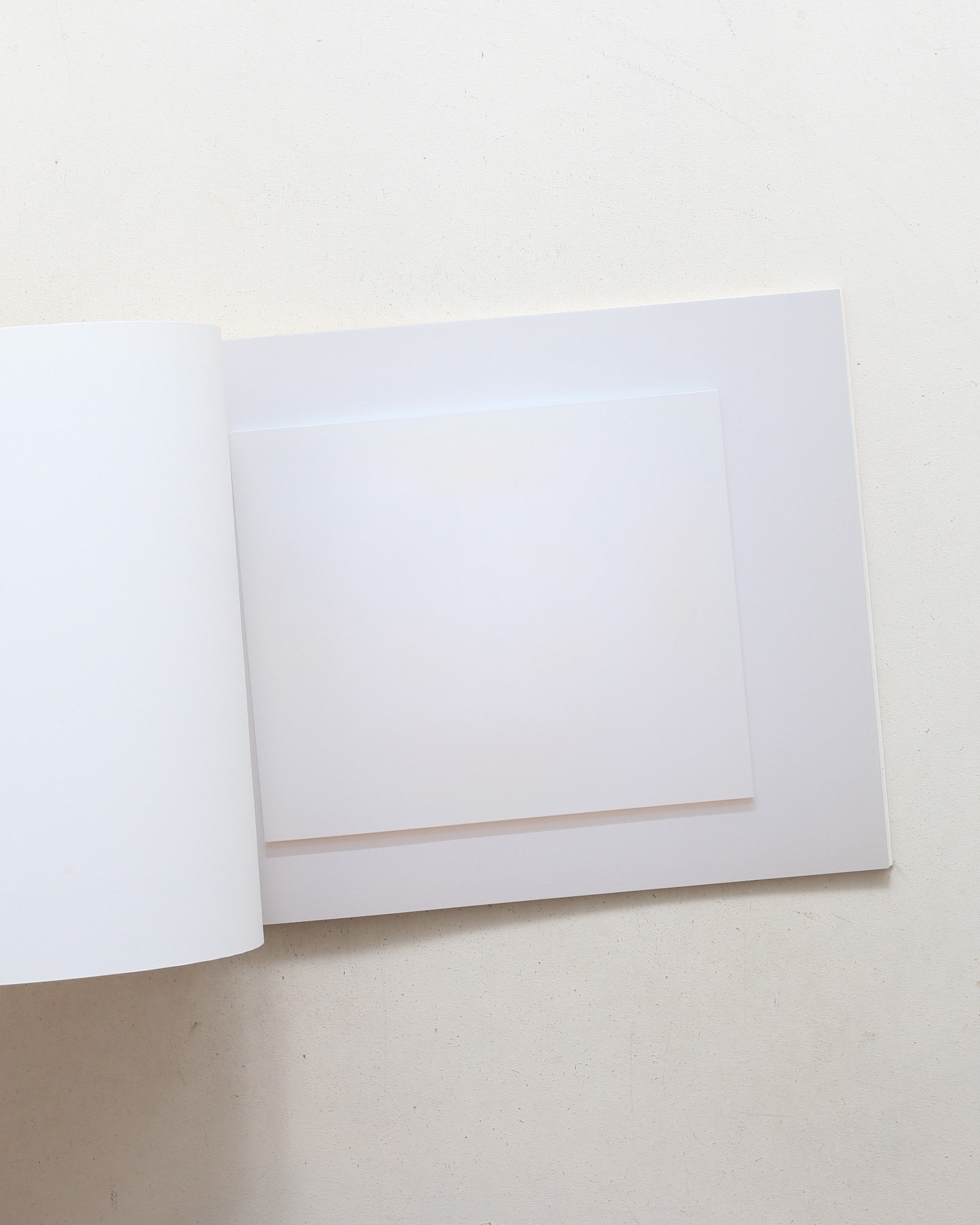 内藤礼 信の感情 | nostos books ノストスブックス