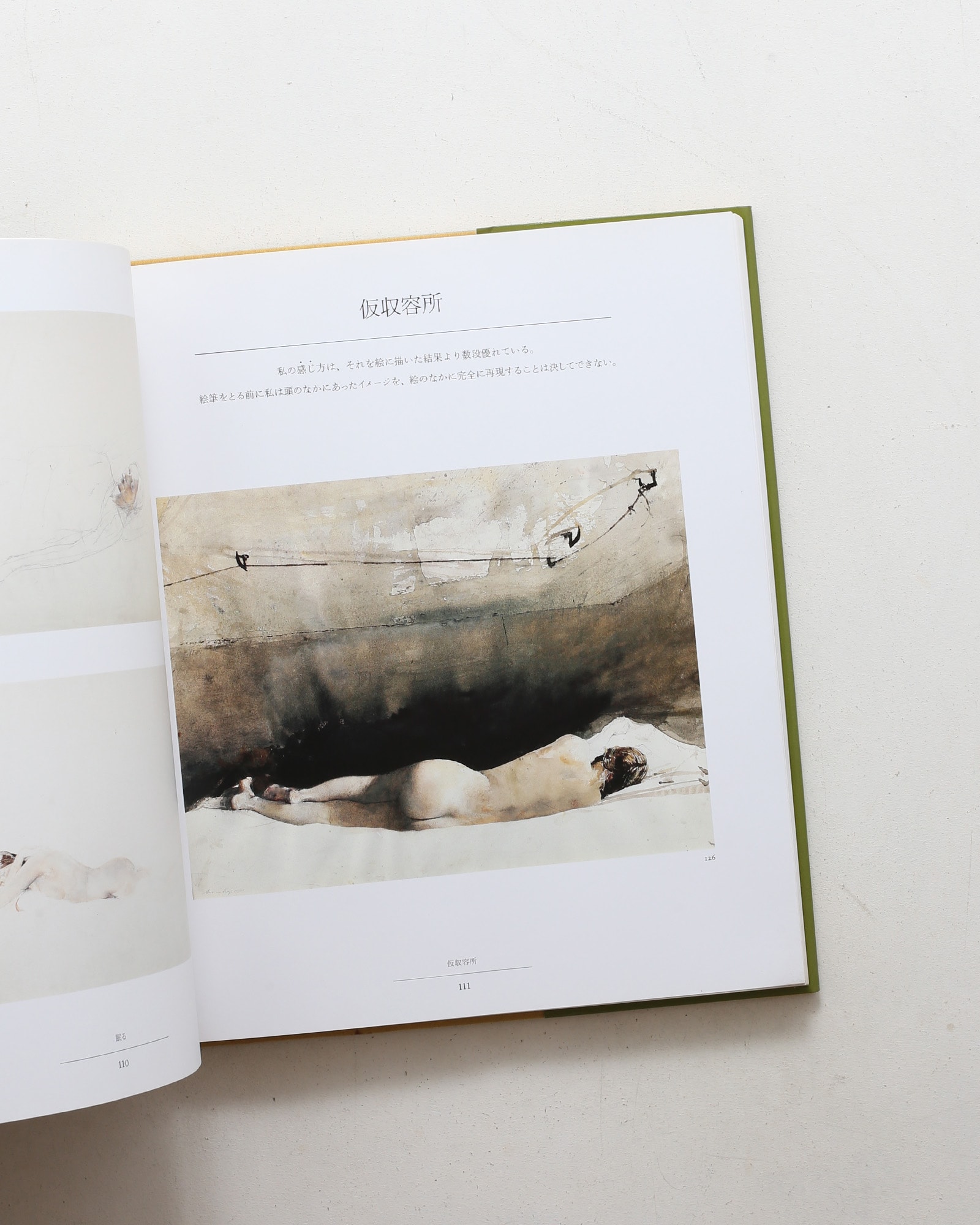 ヘルガ ワイエス画集3 | nostos books ノストスブックス