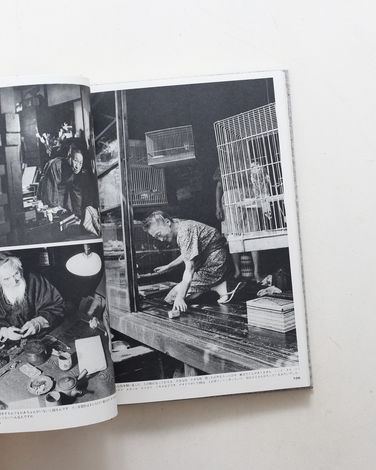 独楽 熊谷守一の世界 | 藤森武 | nostos books ノストスブックス