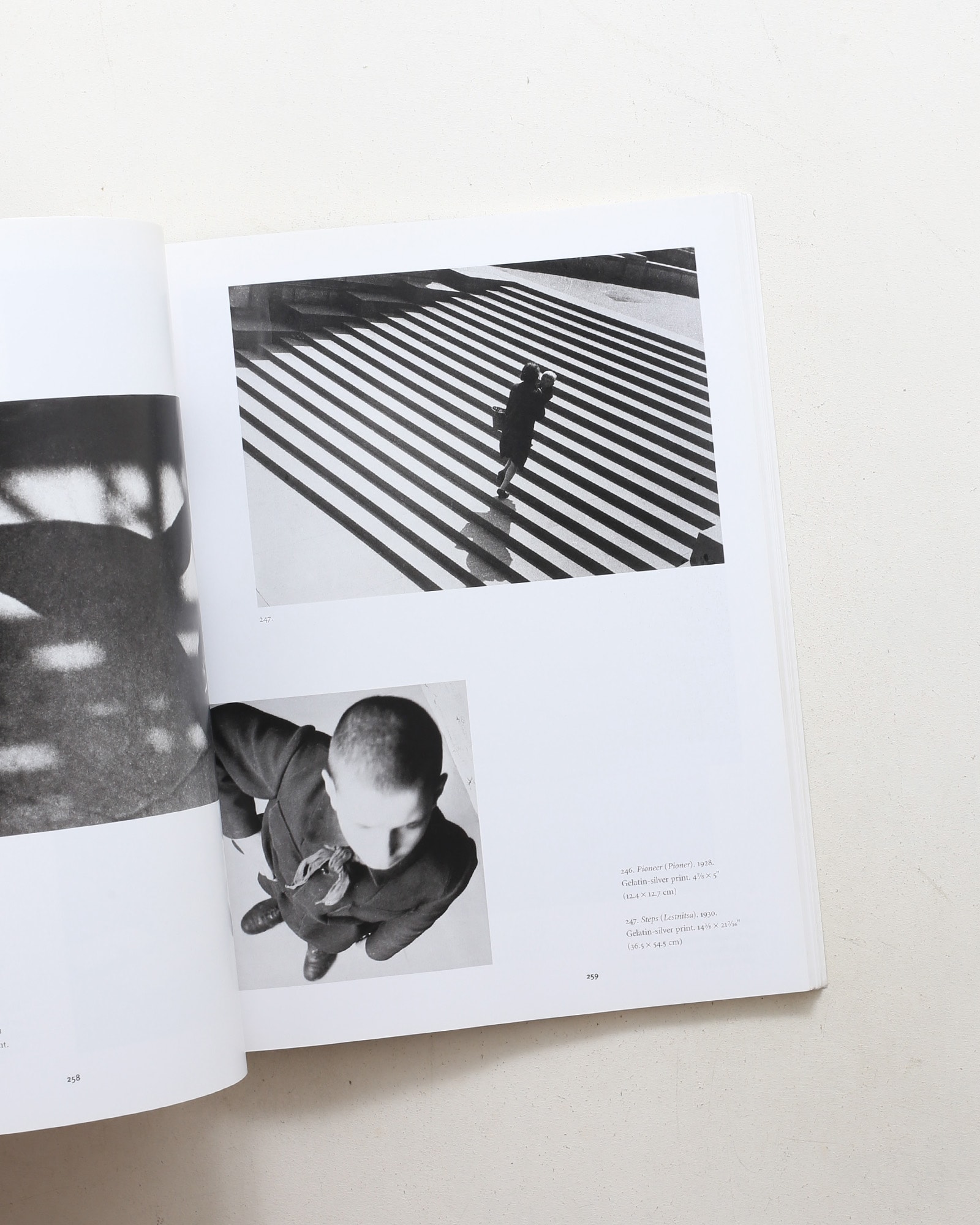 Aleksandr Rodchenko: Painting, Drawing, Collage, Design, Photography ペーパーバック版