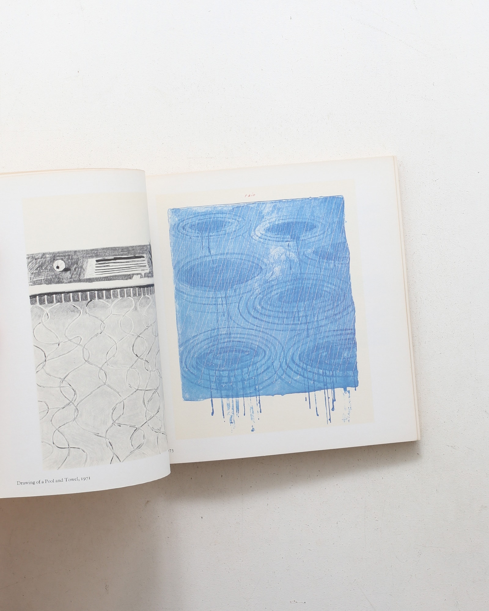 Travels with Pen, Pencil and Ink | David Hockney