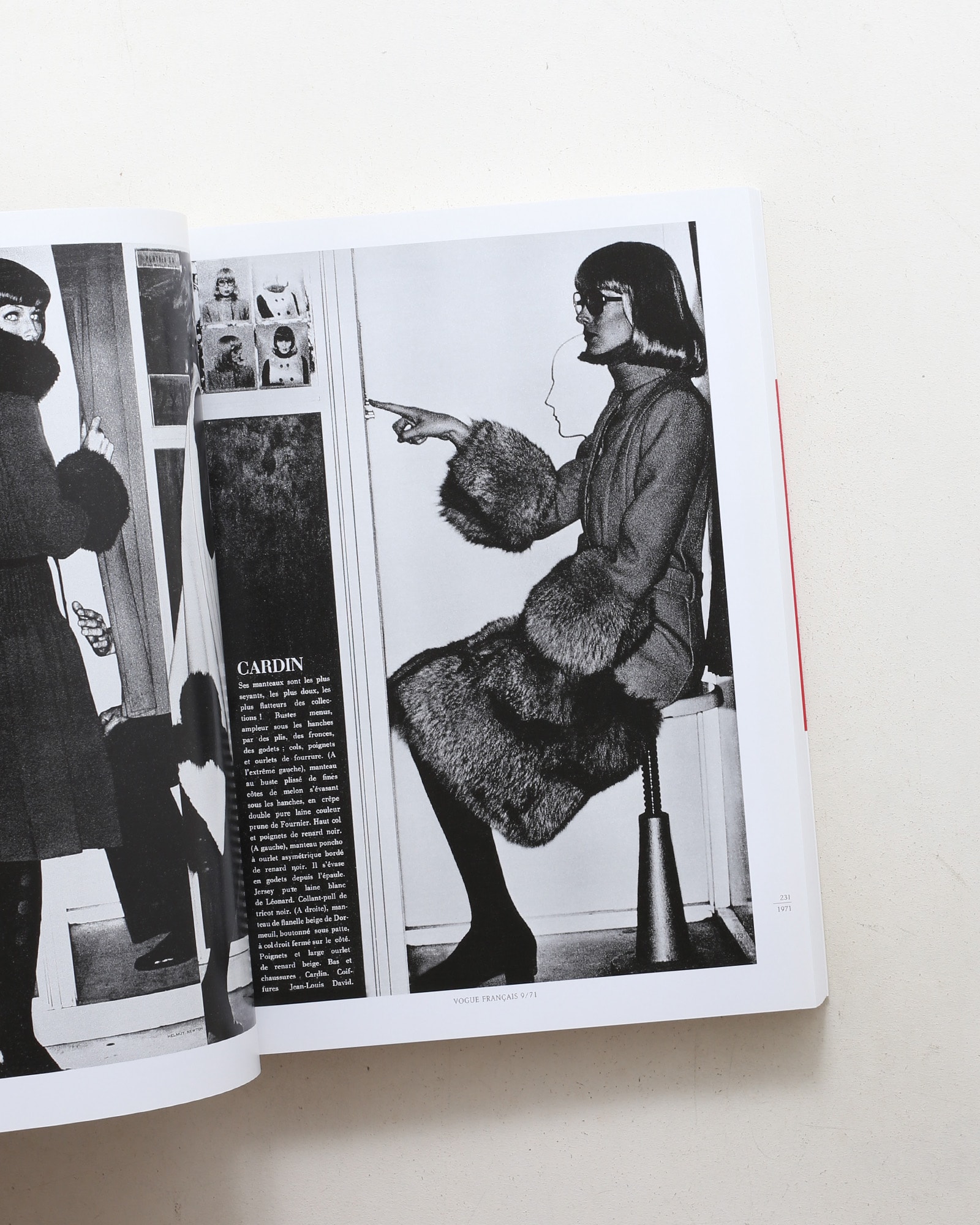 Pages from the Glossies | Helmut Newton