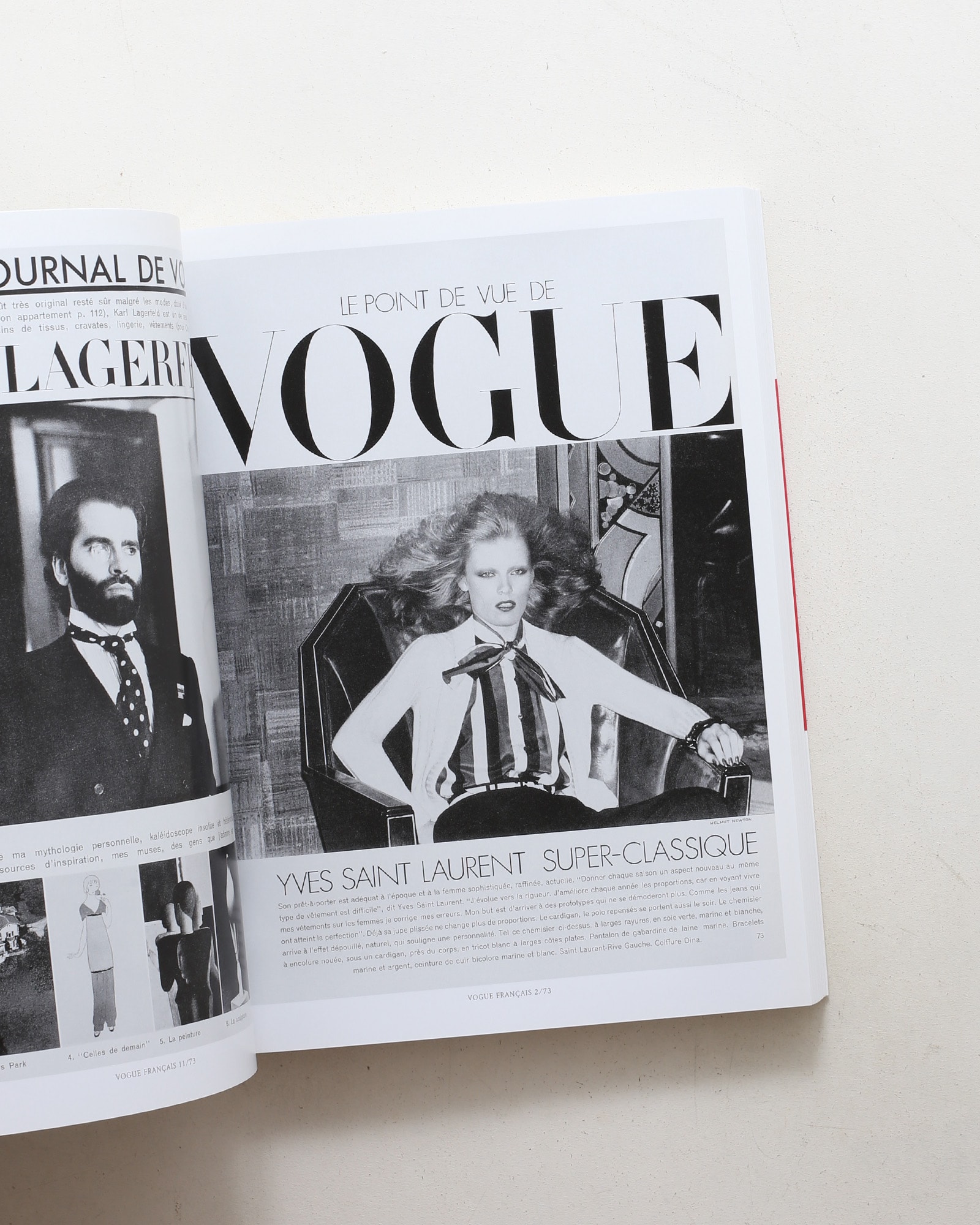 Pages from the Glossies | Helmut Newton