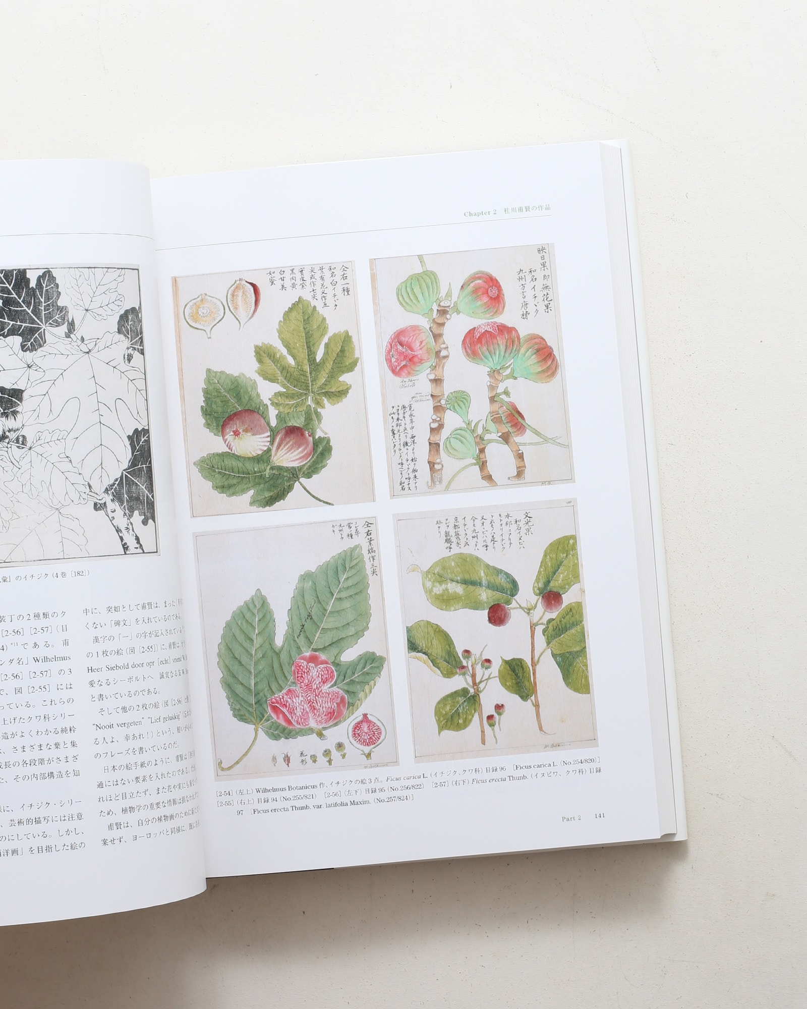 Flora シーボルト日本植物図譜コレクション