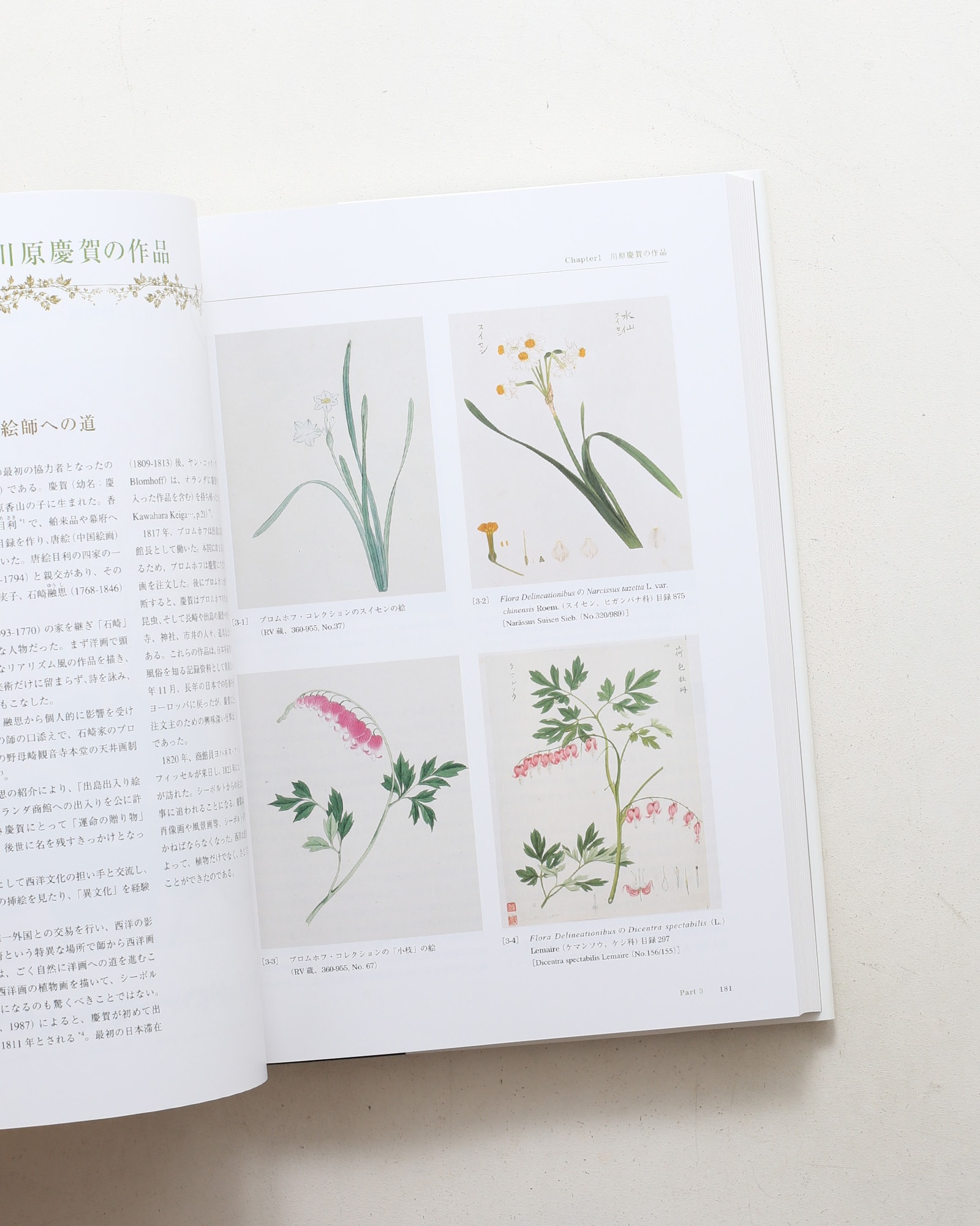 Flora シーボルト日本植物図譜コレクション