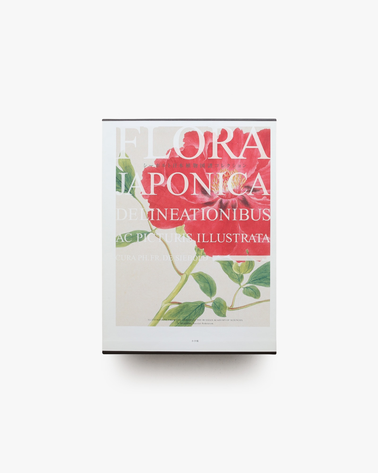 Flora シーボルト日本植物図譜コレクション