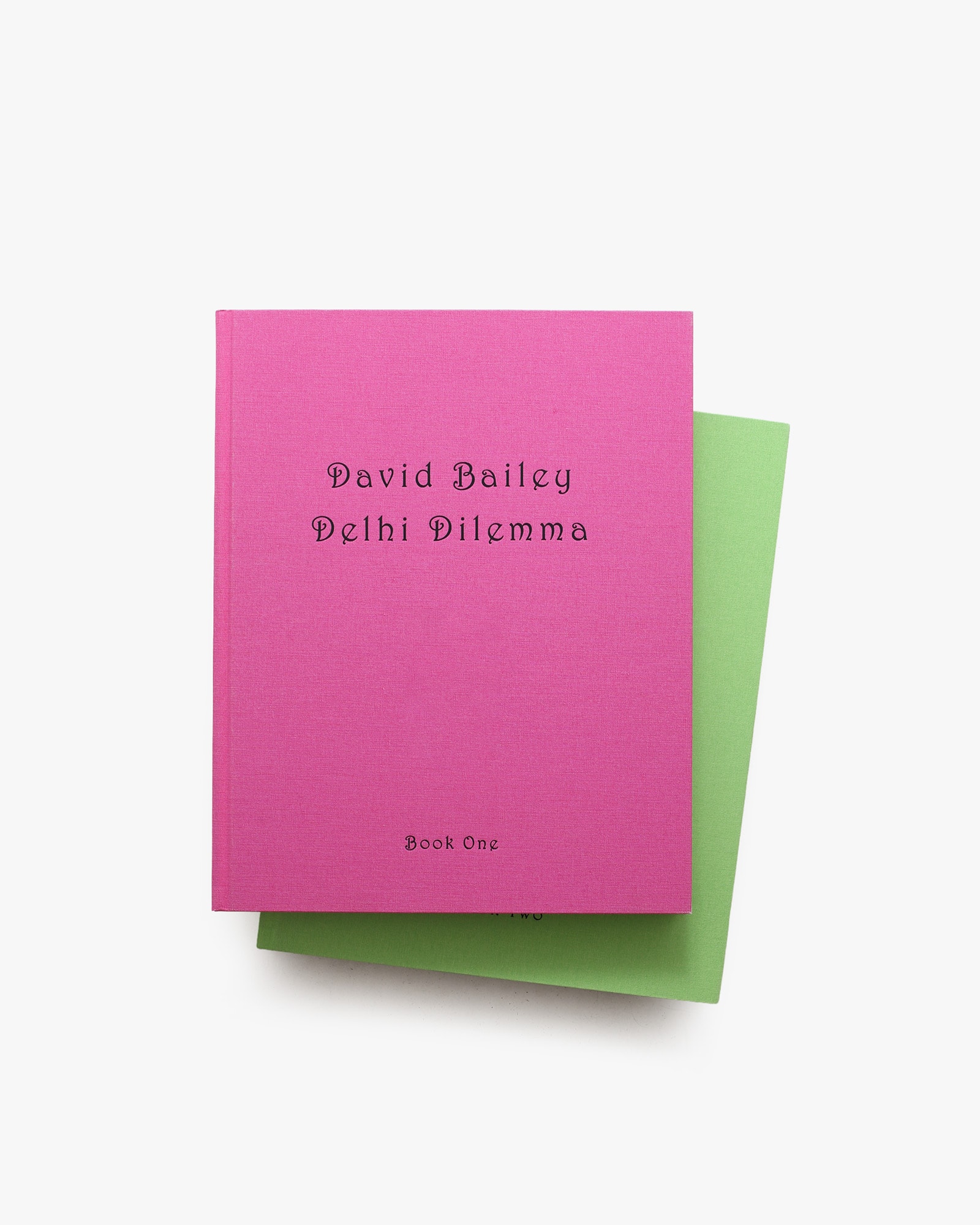 Delhi Dilemma | David Bailey