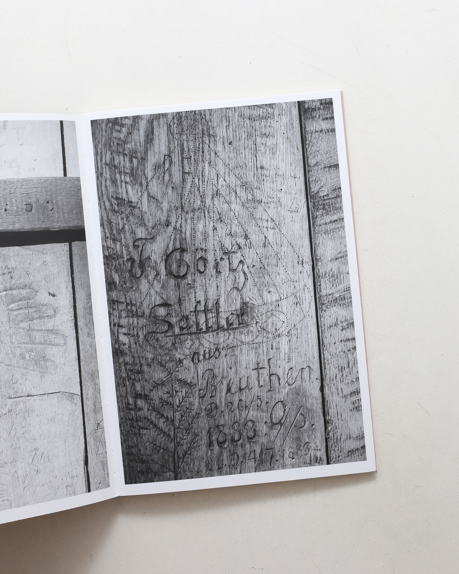 Traefaengslet | Nick Geboers