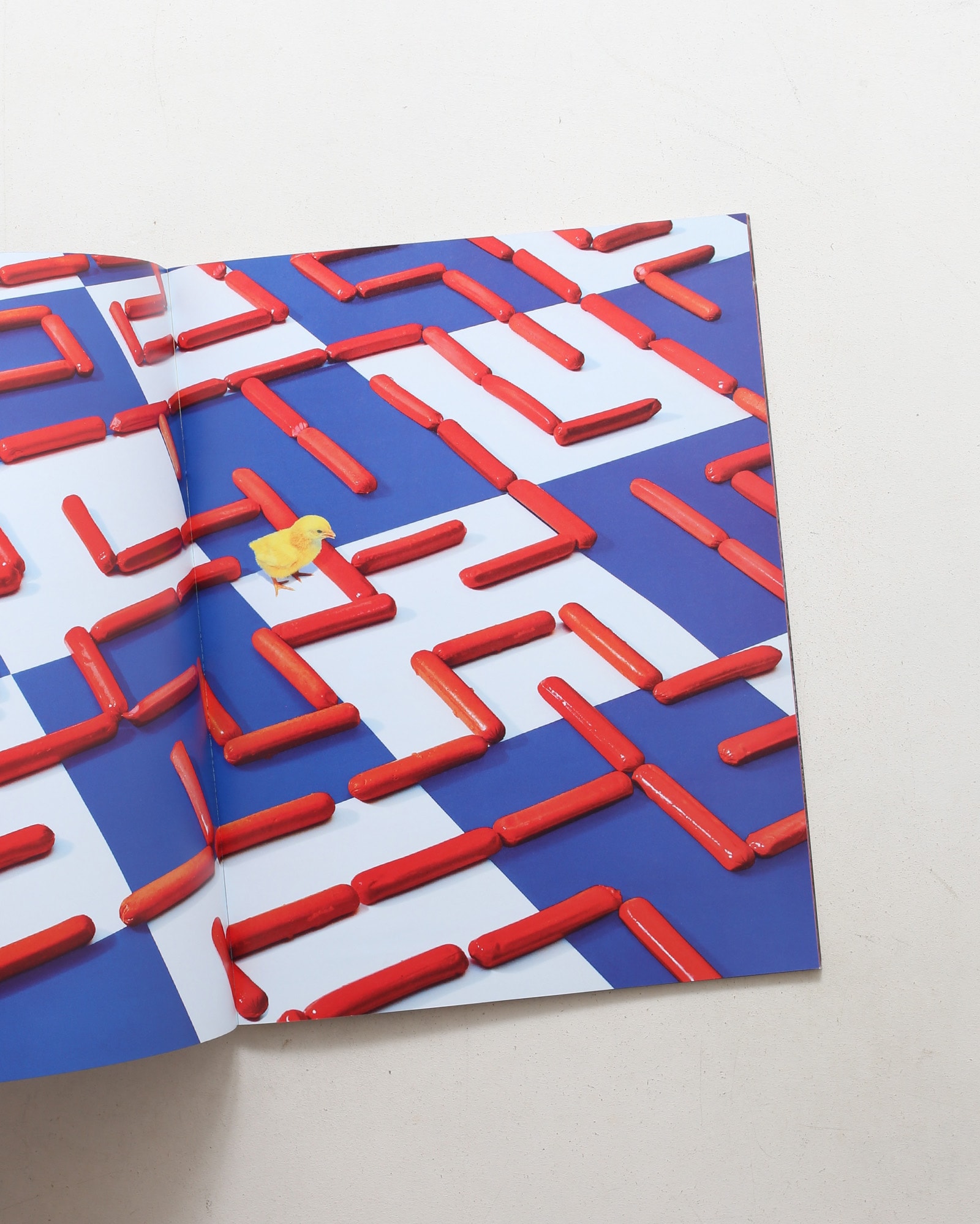 Toiletpaper Magazine 13